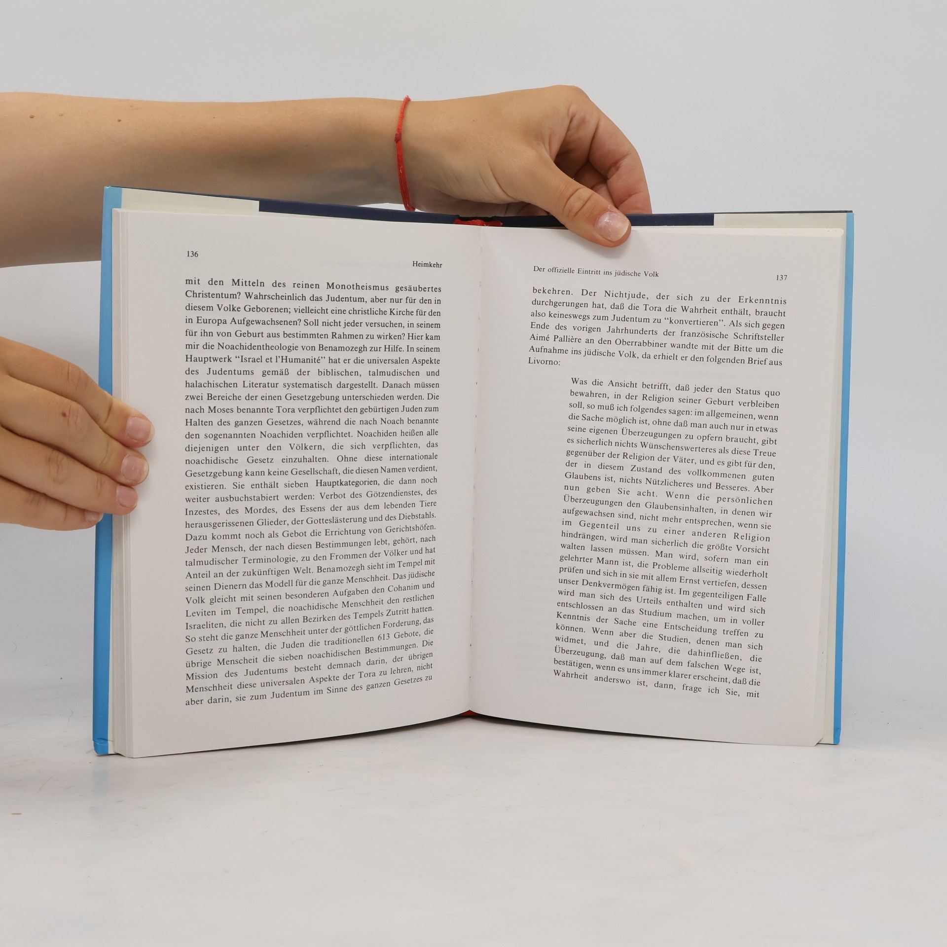 Aharon Shear-Yashuv Heimkehr. Autobiographie eines Rabbiners 2