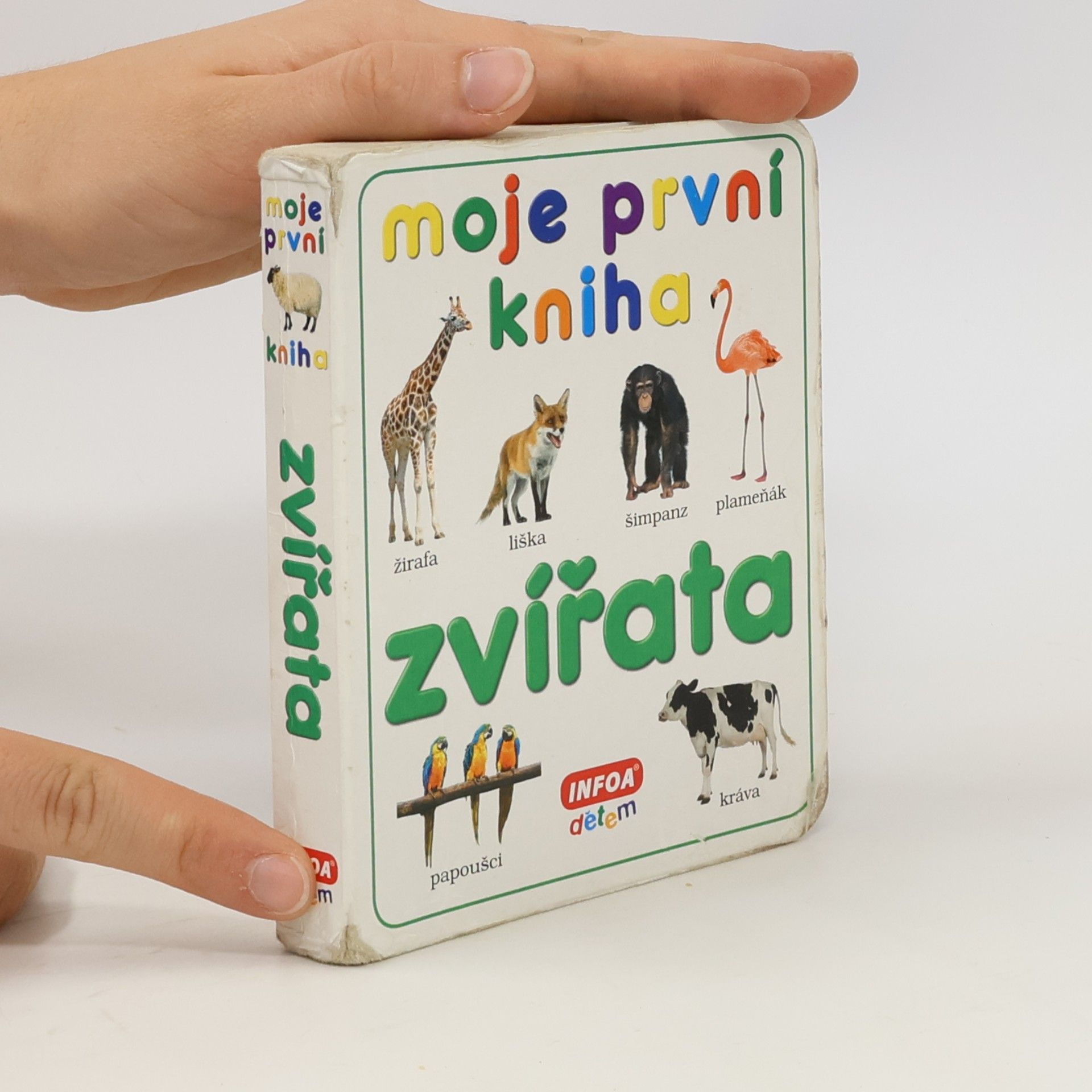 Collectif d'auteurs Zvířata