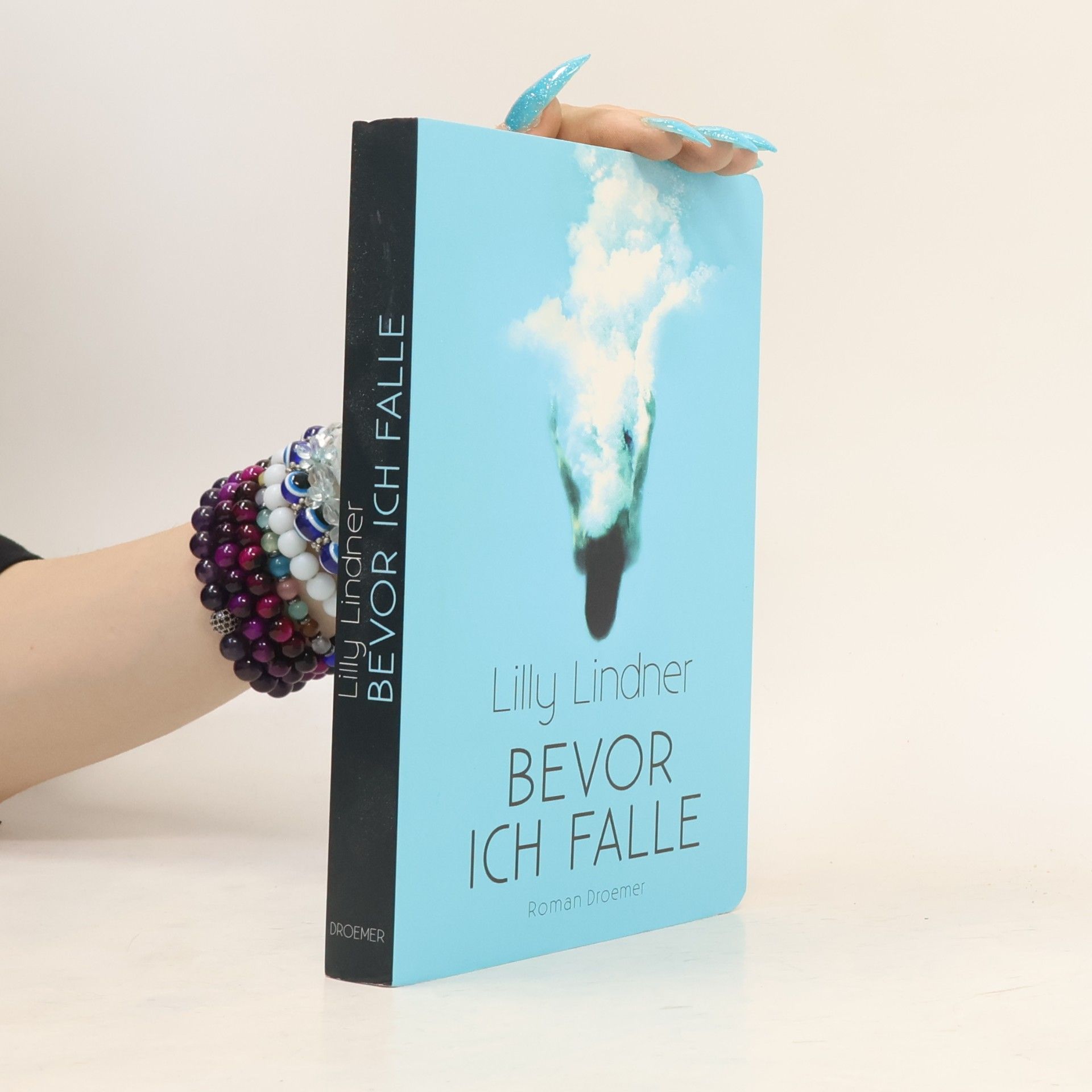 Lilly Lindner Bevor ich falle