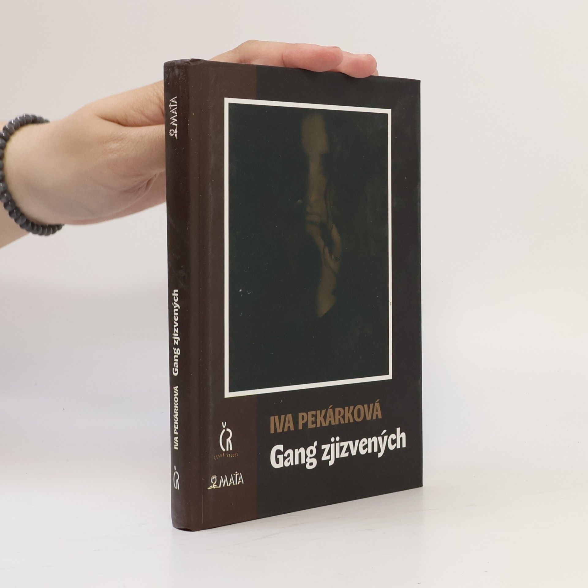 Gang zjizvených