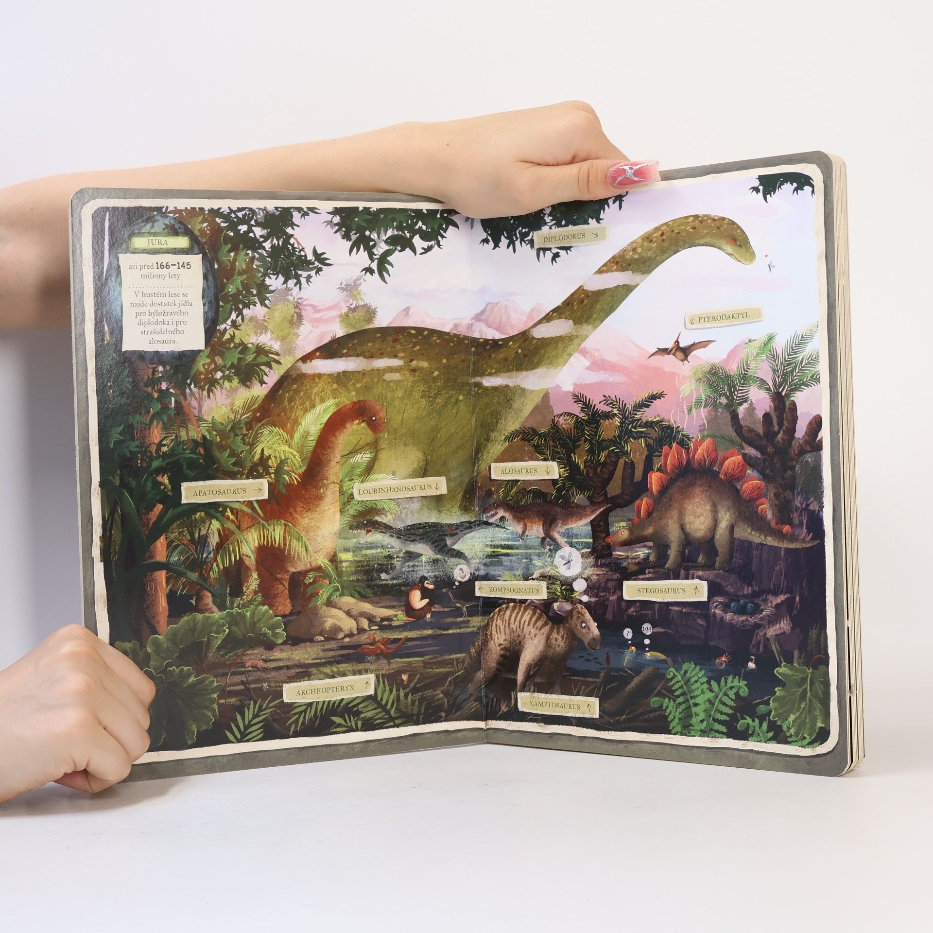 Emilia Dziubak Objevuj s úsměvem: Dinosauři