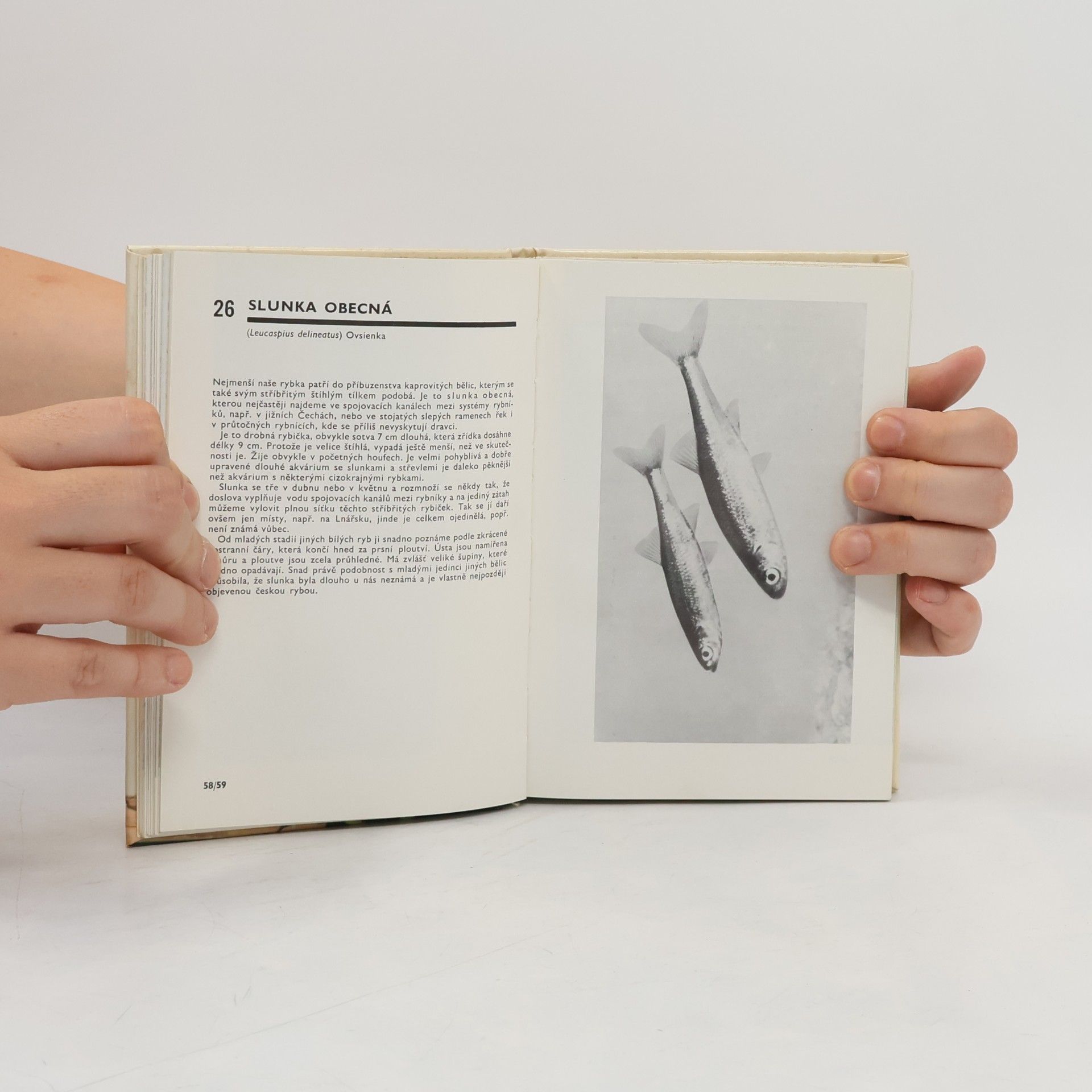 Otakar Štěpánek Kapesní atlas ryb, obojživelníků a plazů