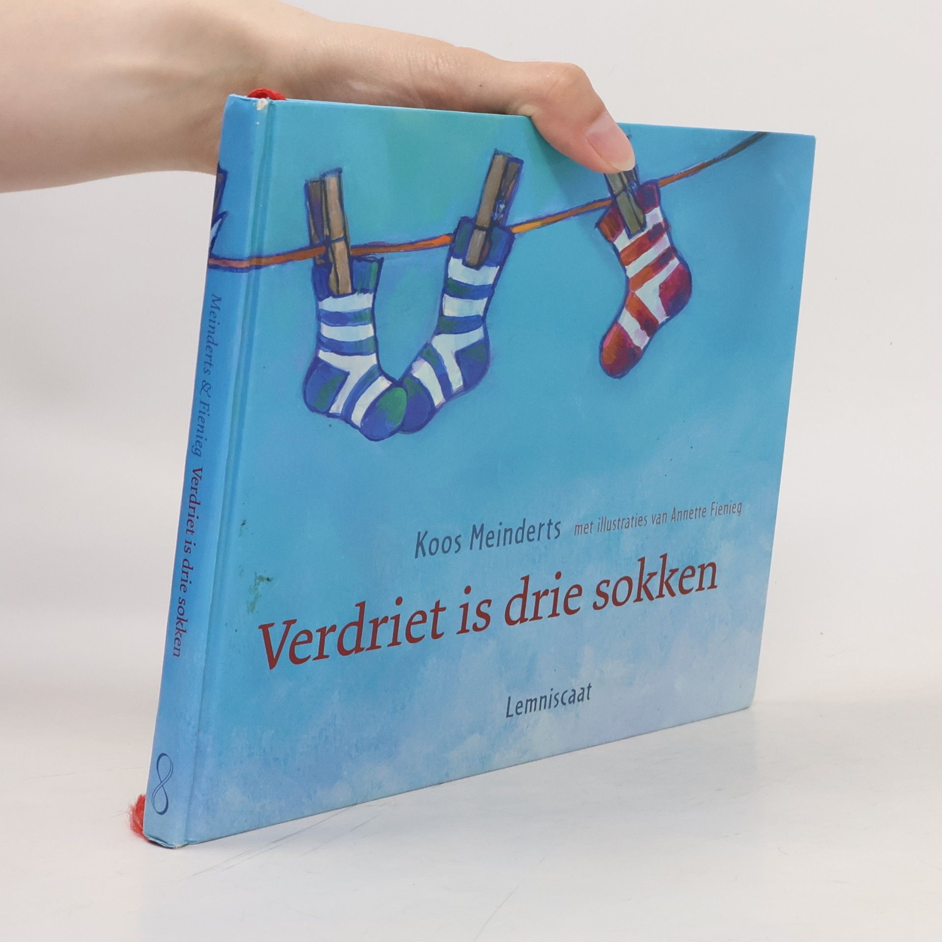 Annette Fienieg Verdriet is drie sokken + CD / druk 1