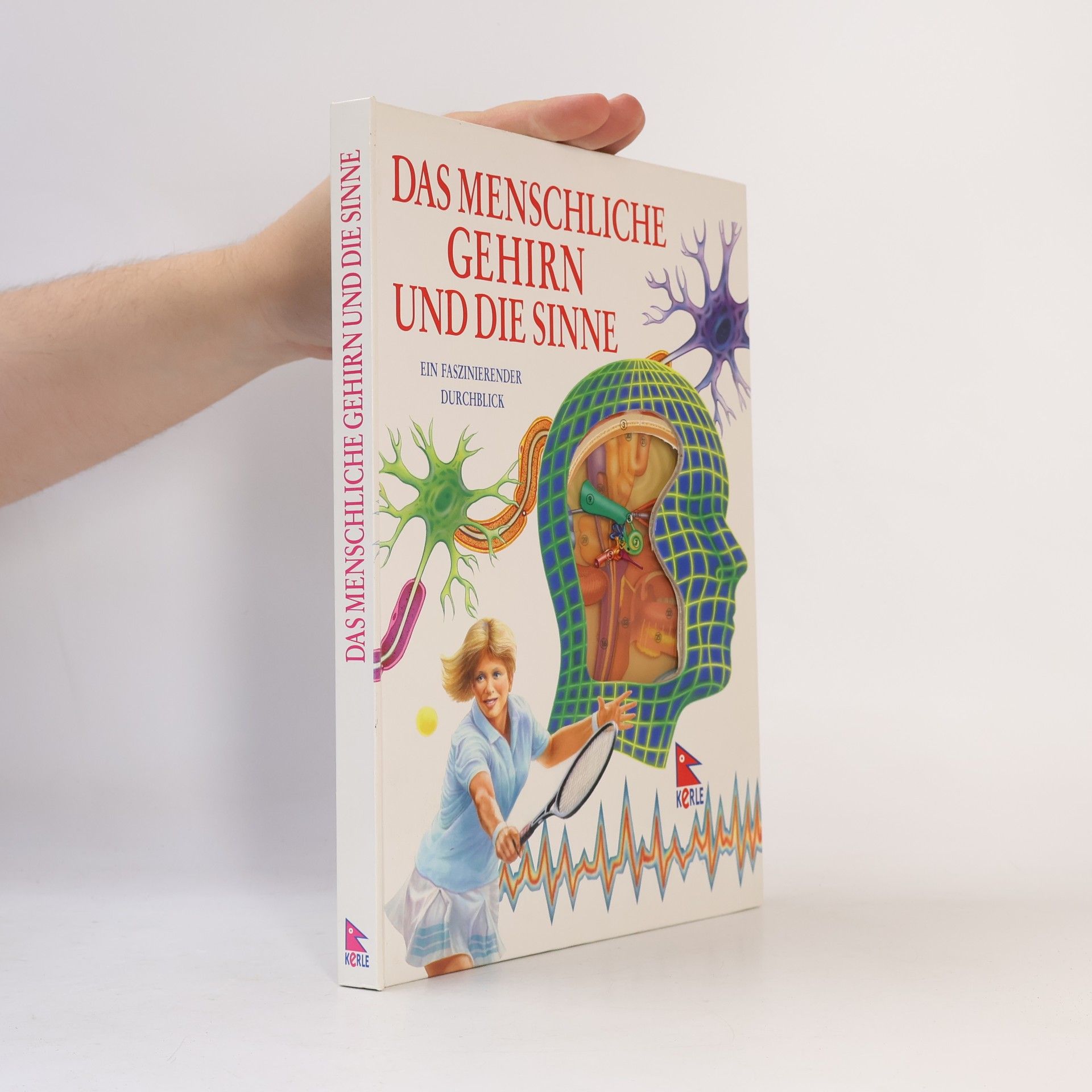 Jenny Bryan Das menschliche Gehirn und seine Sinne