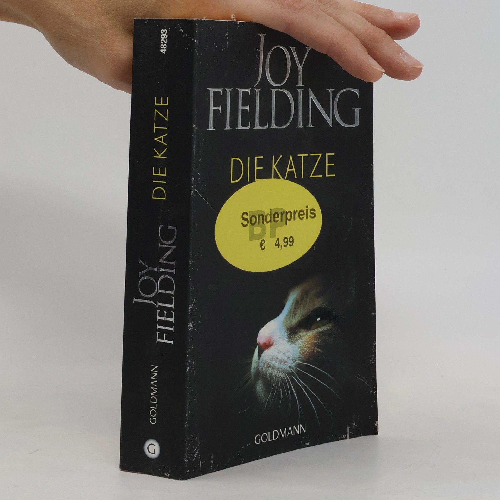 Joy Fielding Die Katze