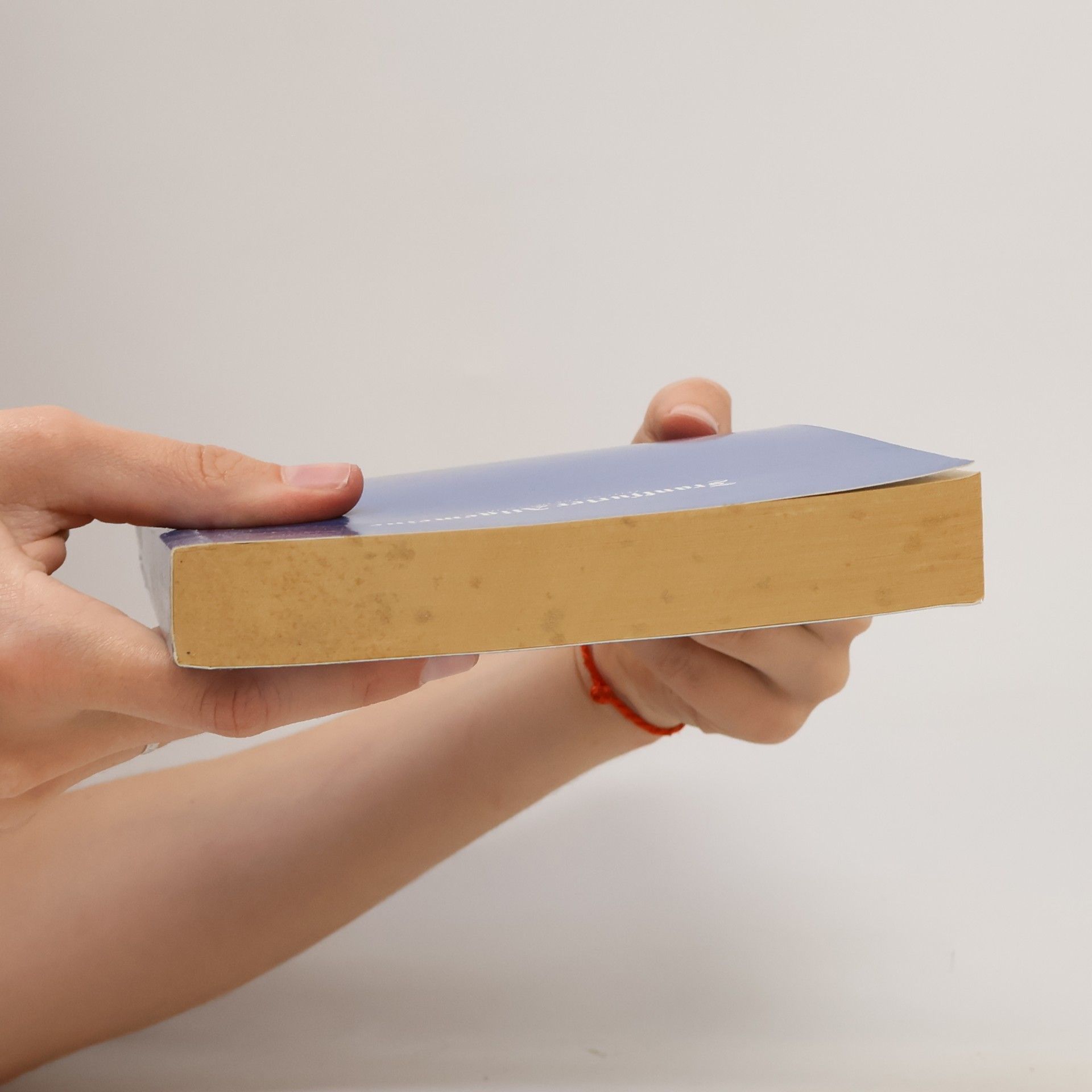 Collectif d'auteurs Ein Bücher-Tagebuch 1991