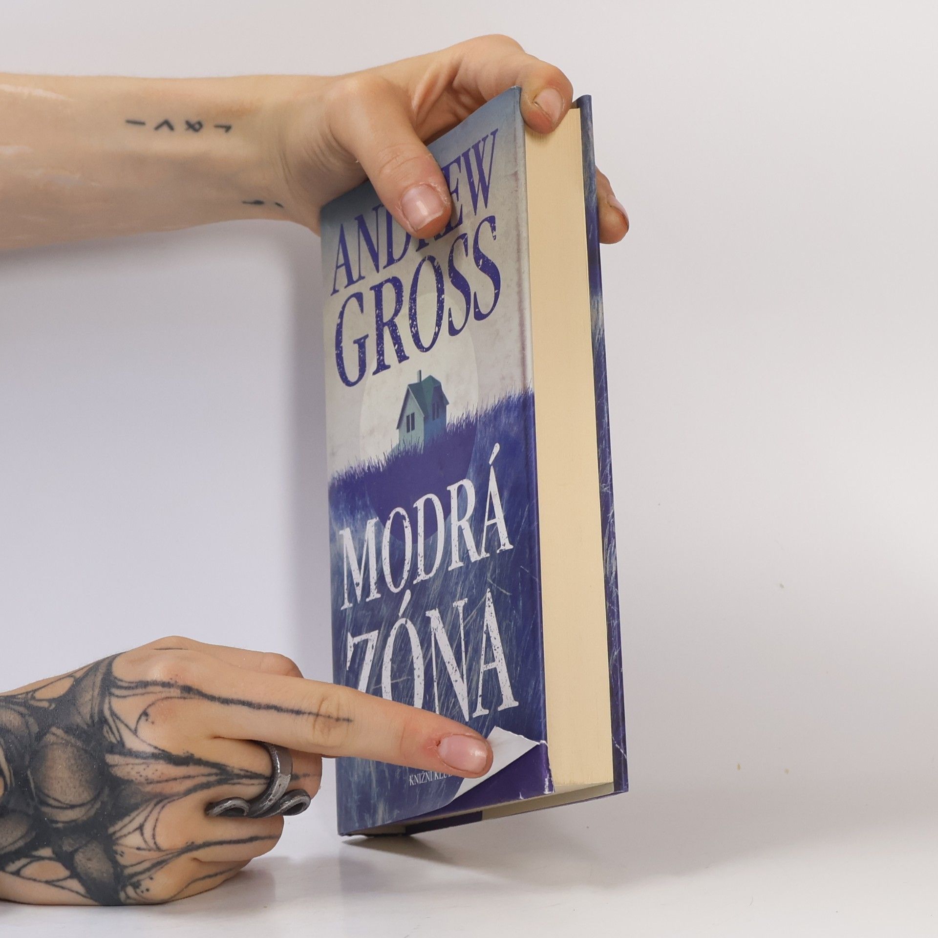 Andrew Gross Modrá zóna