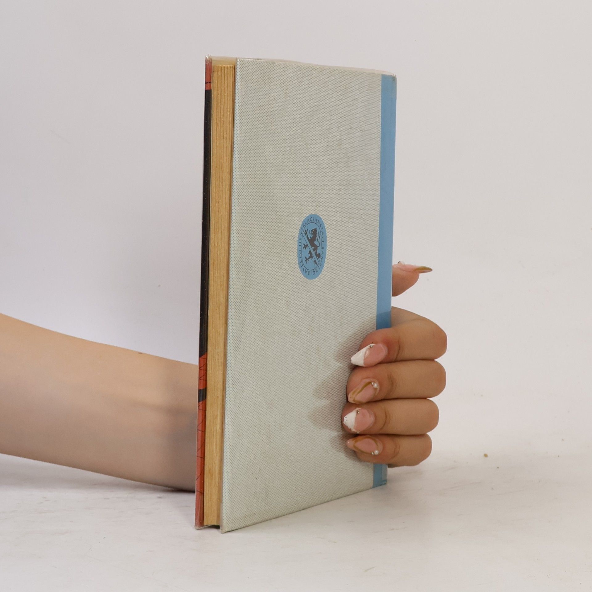Hans-Georg Noack Der Schlossgeist
