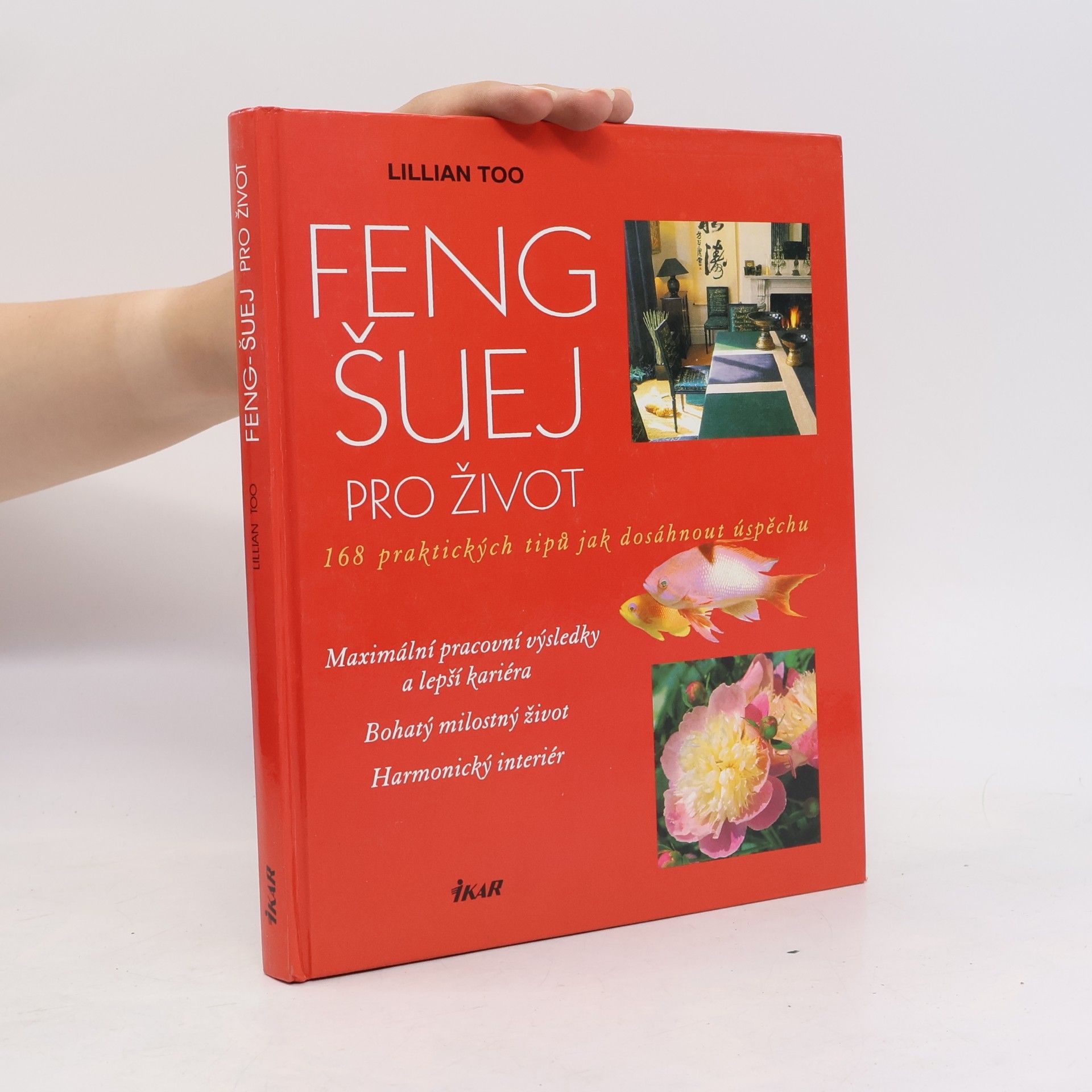 Feng-šuej pro život. 168 praktických tipů jak dosáhnout úspěchu