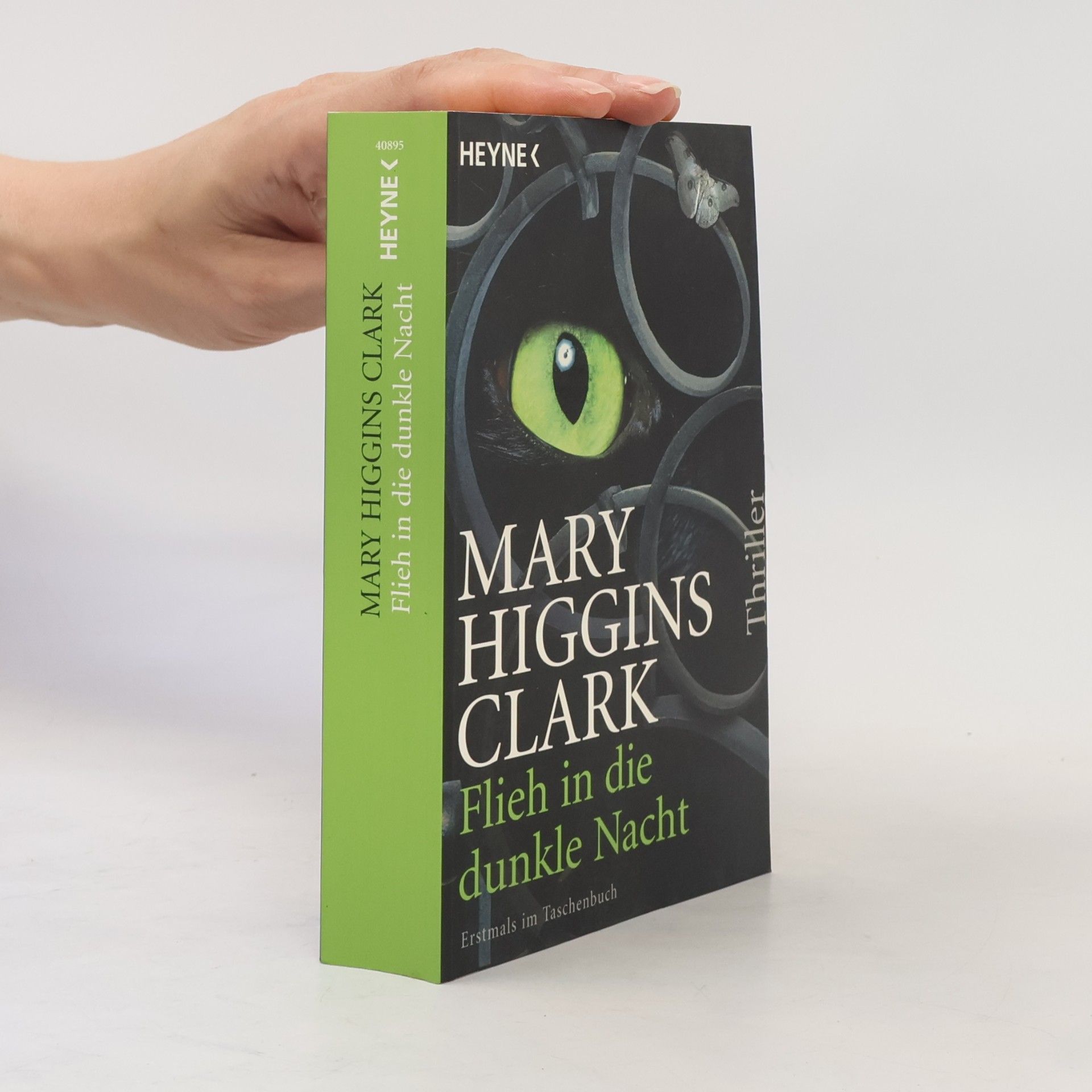 Mary Higgins Clark Flieh in die dunkle Nacht