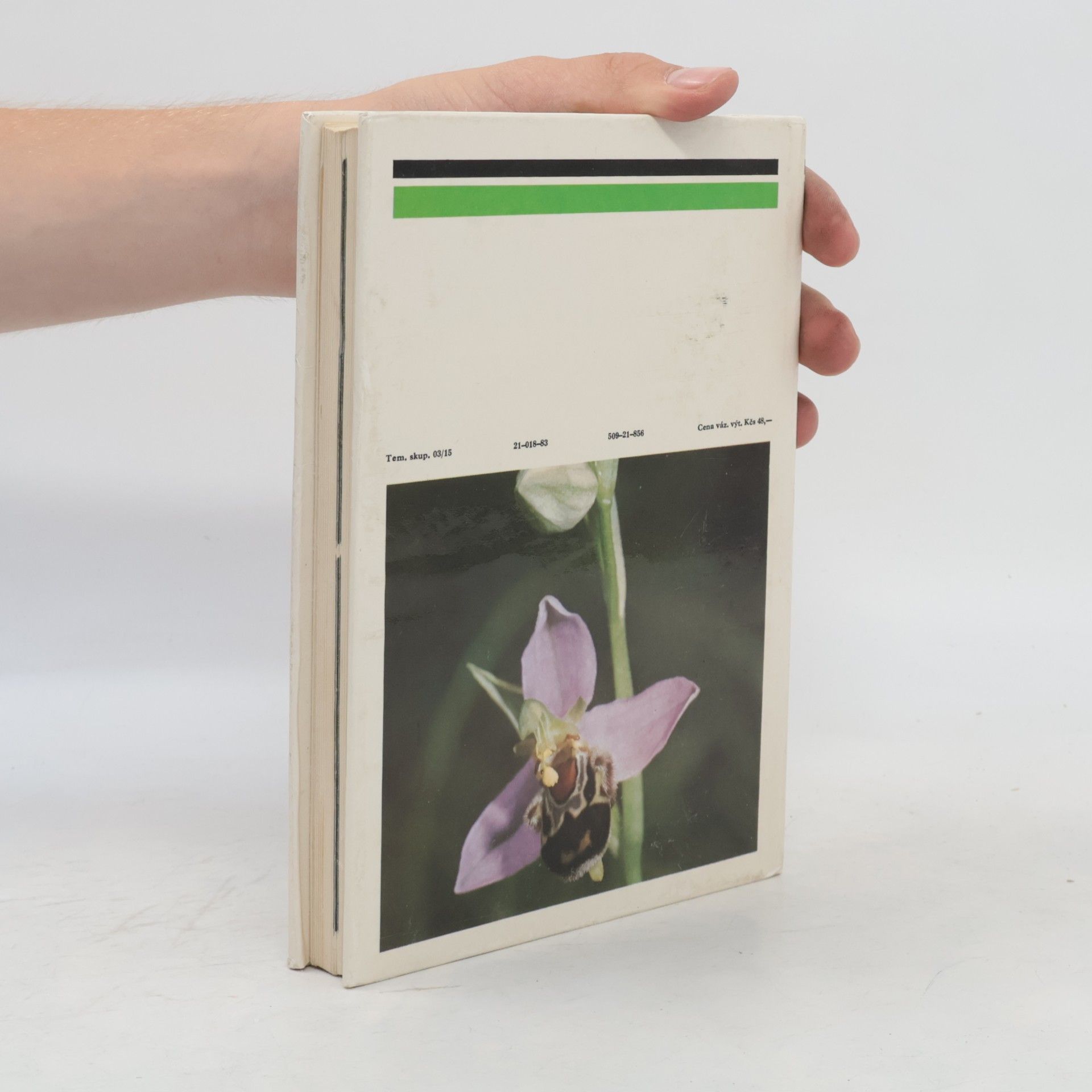 František Procházka Orchideje naší přírody