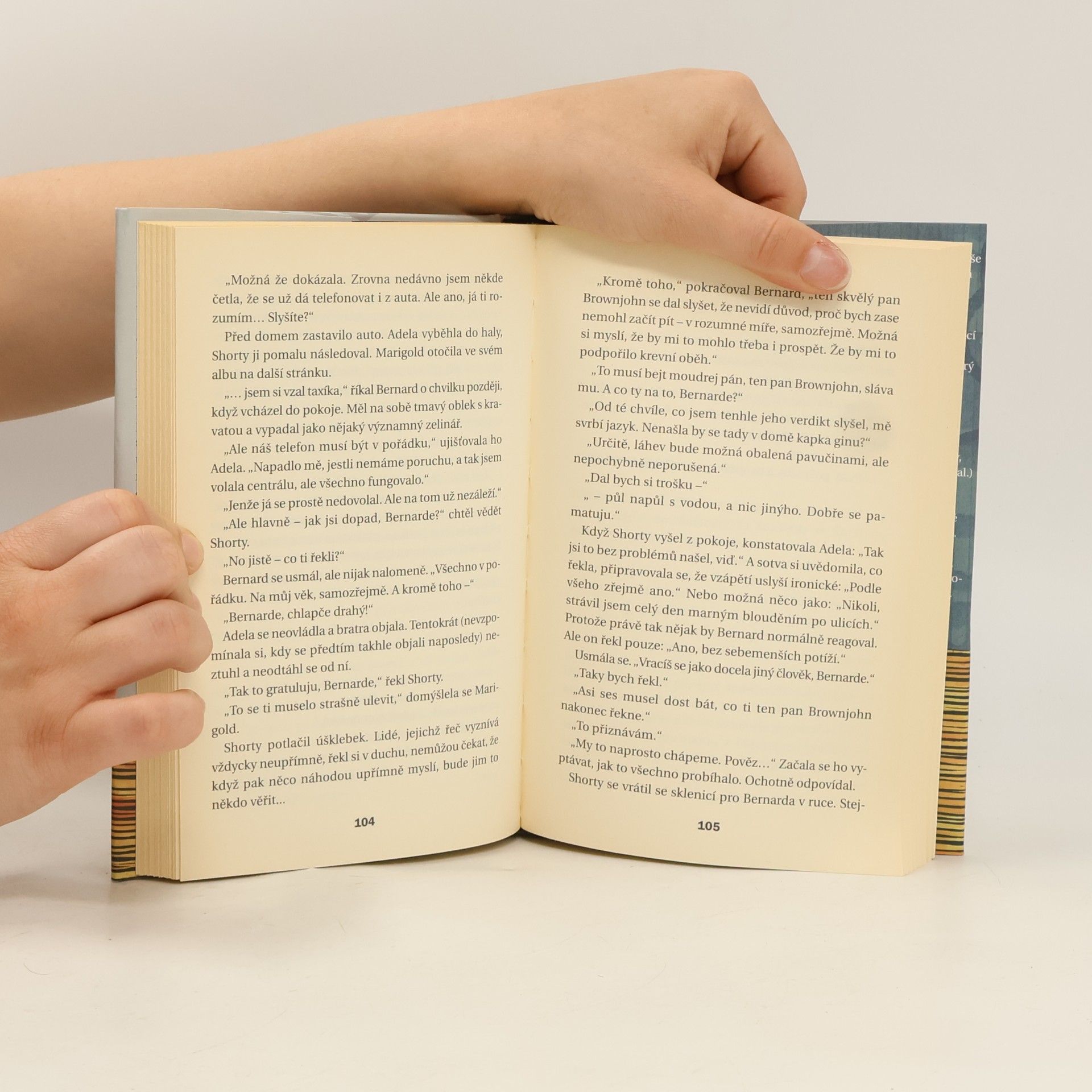 Kingsley Amis Konečná