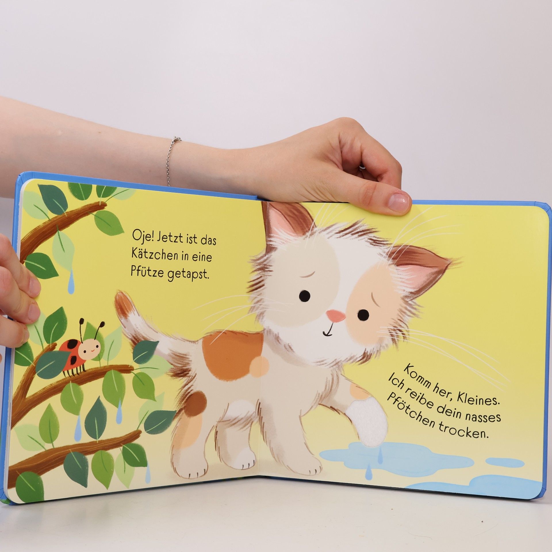 Anna Milbourne Mein Alles-wieder-gut-Streichelbuch: Ich tröste dich, kleine Katze!