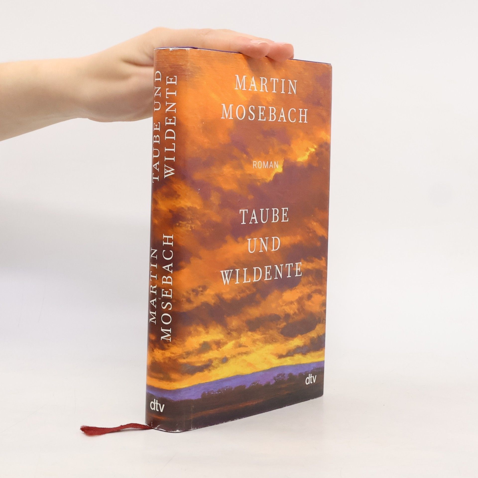 Martin Mosebach Taube und Wildente