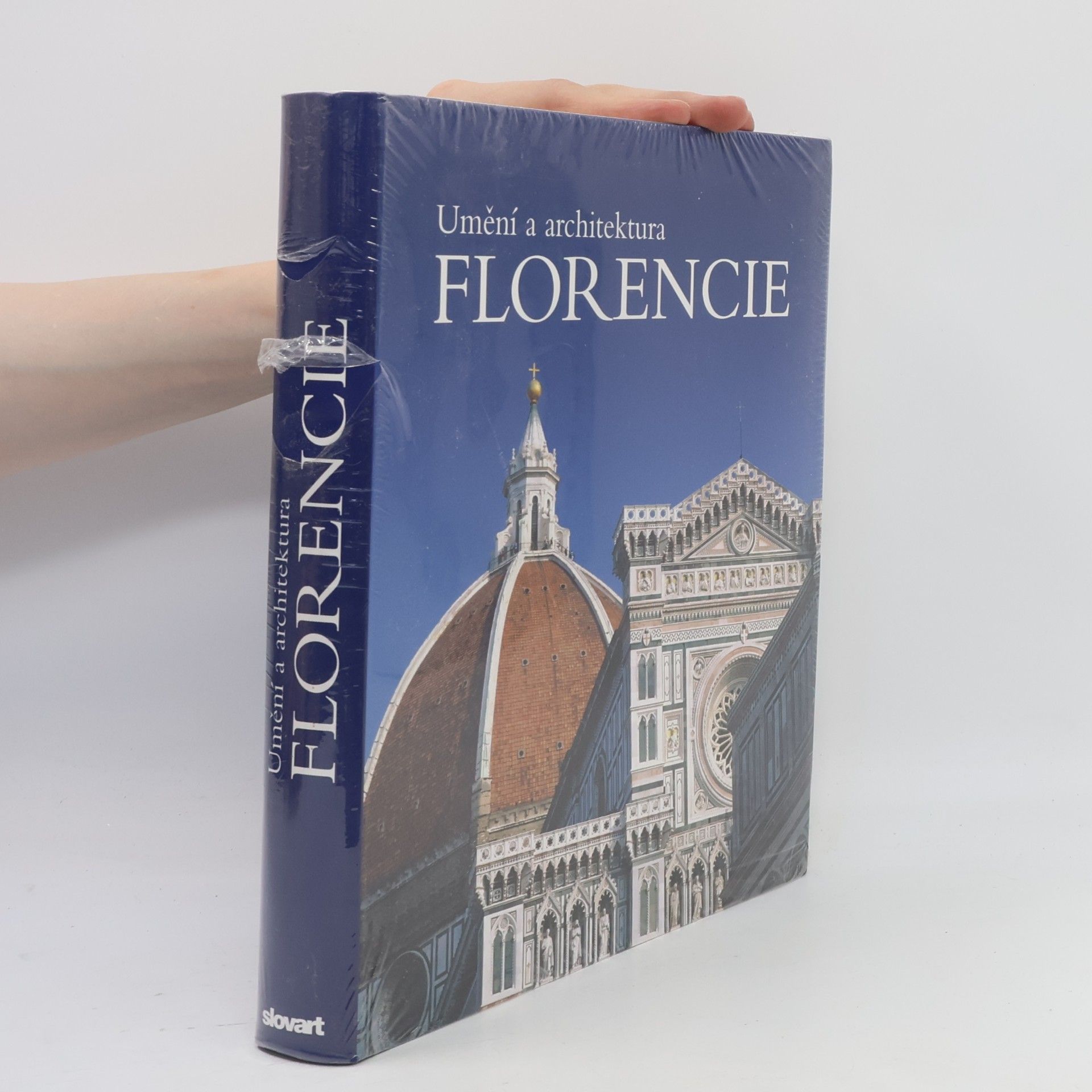 Silvestra Bietoletti Umění a architektura Florencie