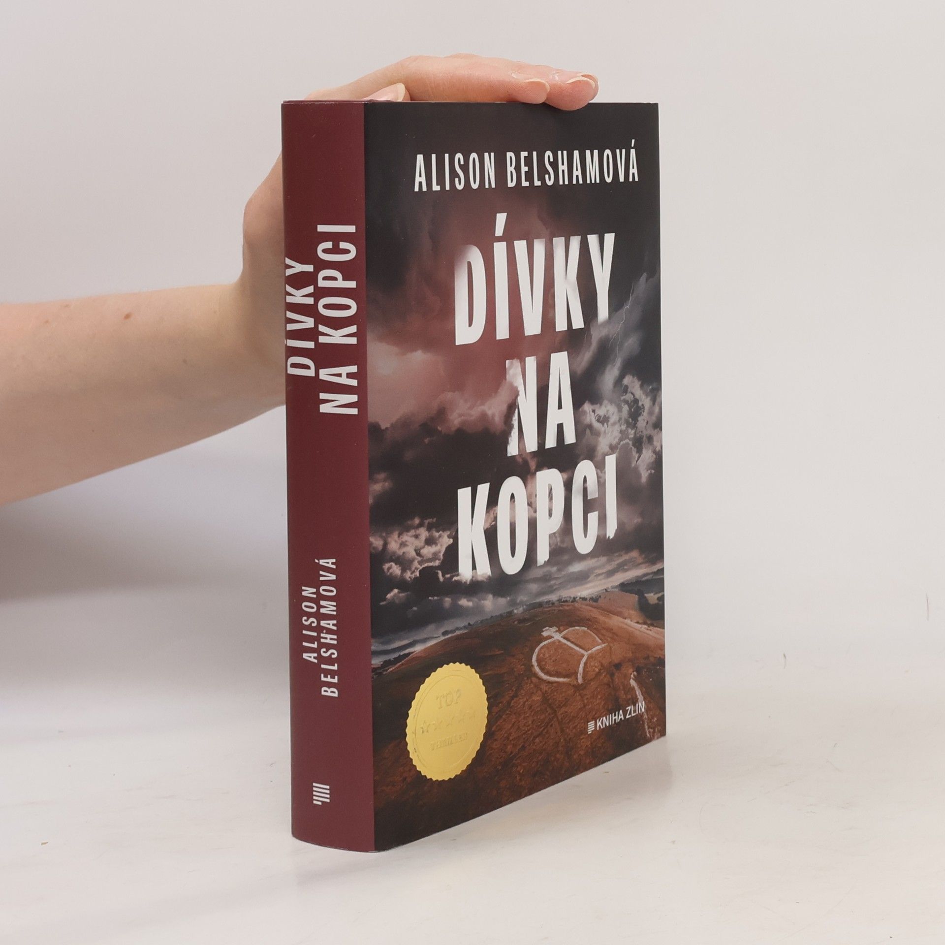 Alison Belsham Dívky na kopci