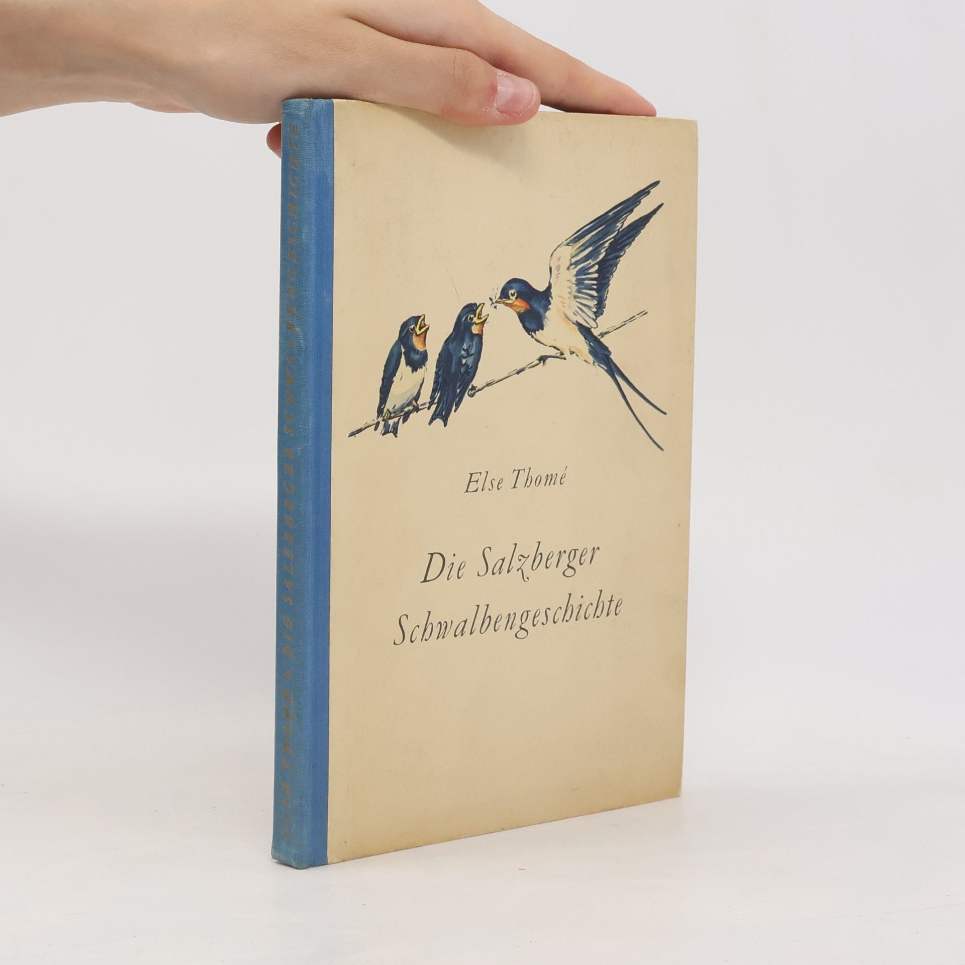Else Thomé Die Salzberger Schwalbengeschichte
