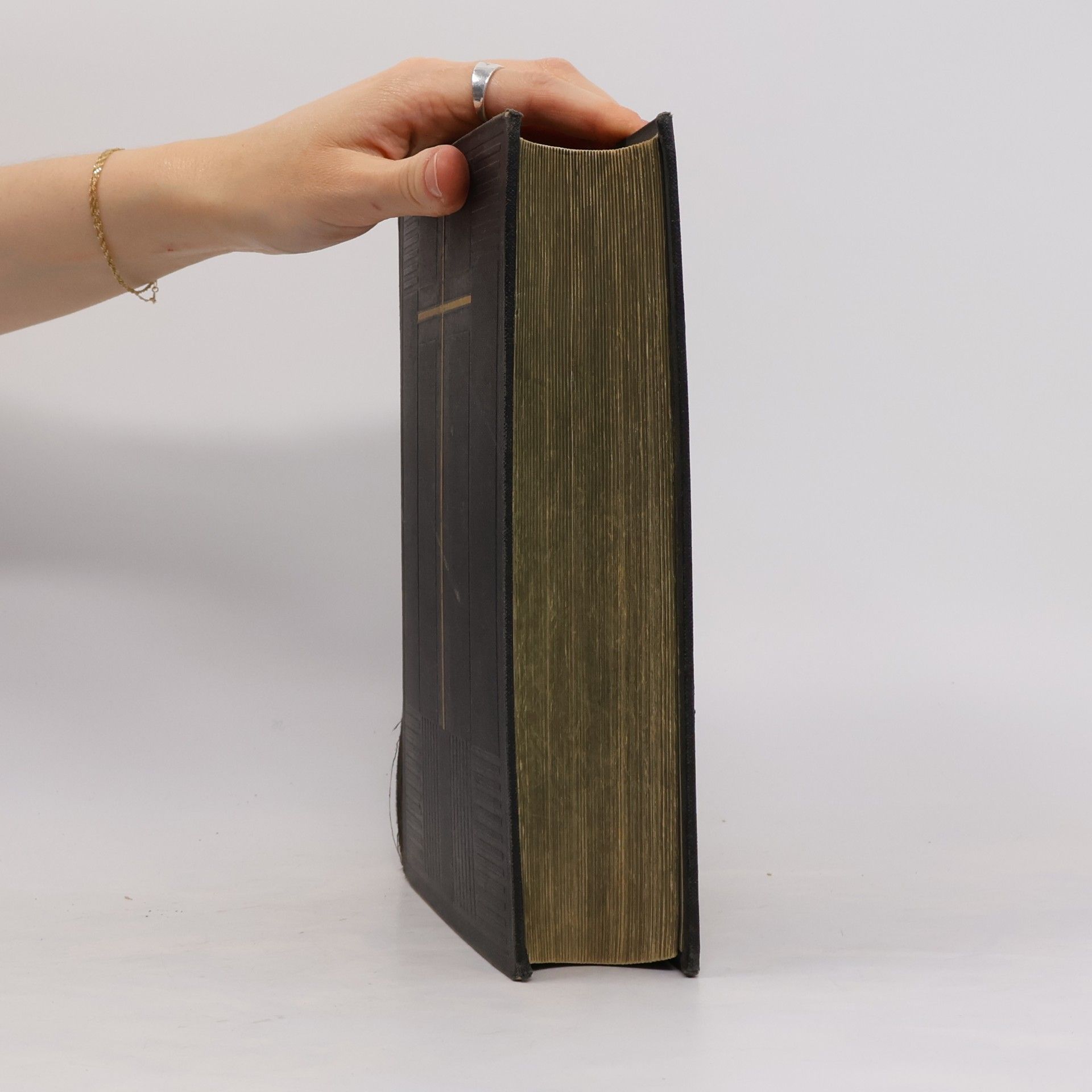 Martin Luther Die heilige Schrift
