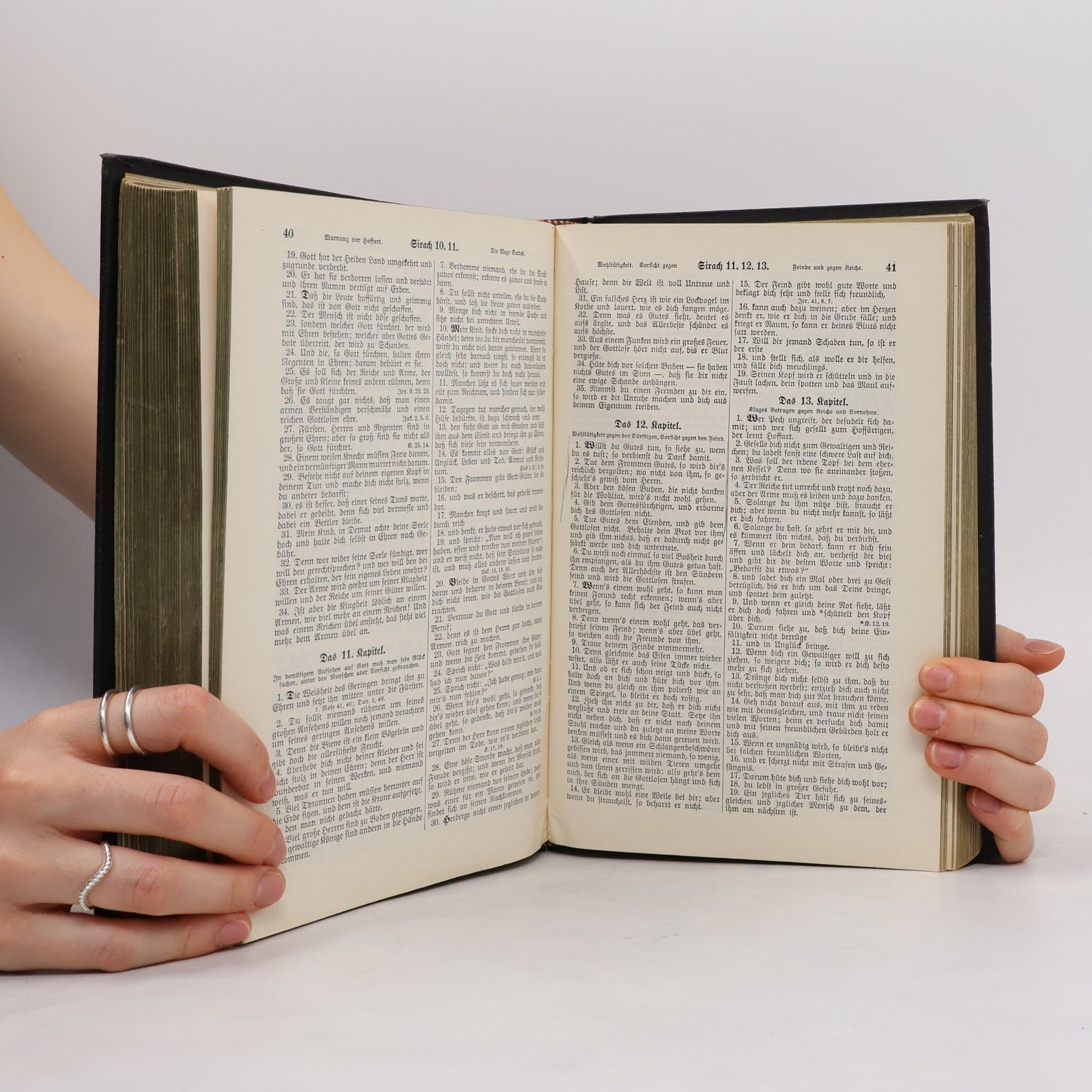 Martin Luther Die heilige Schrift