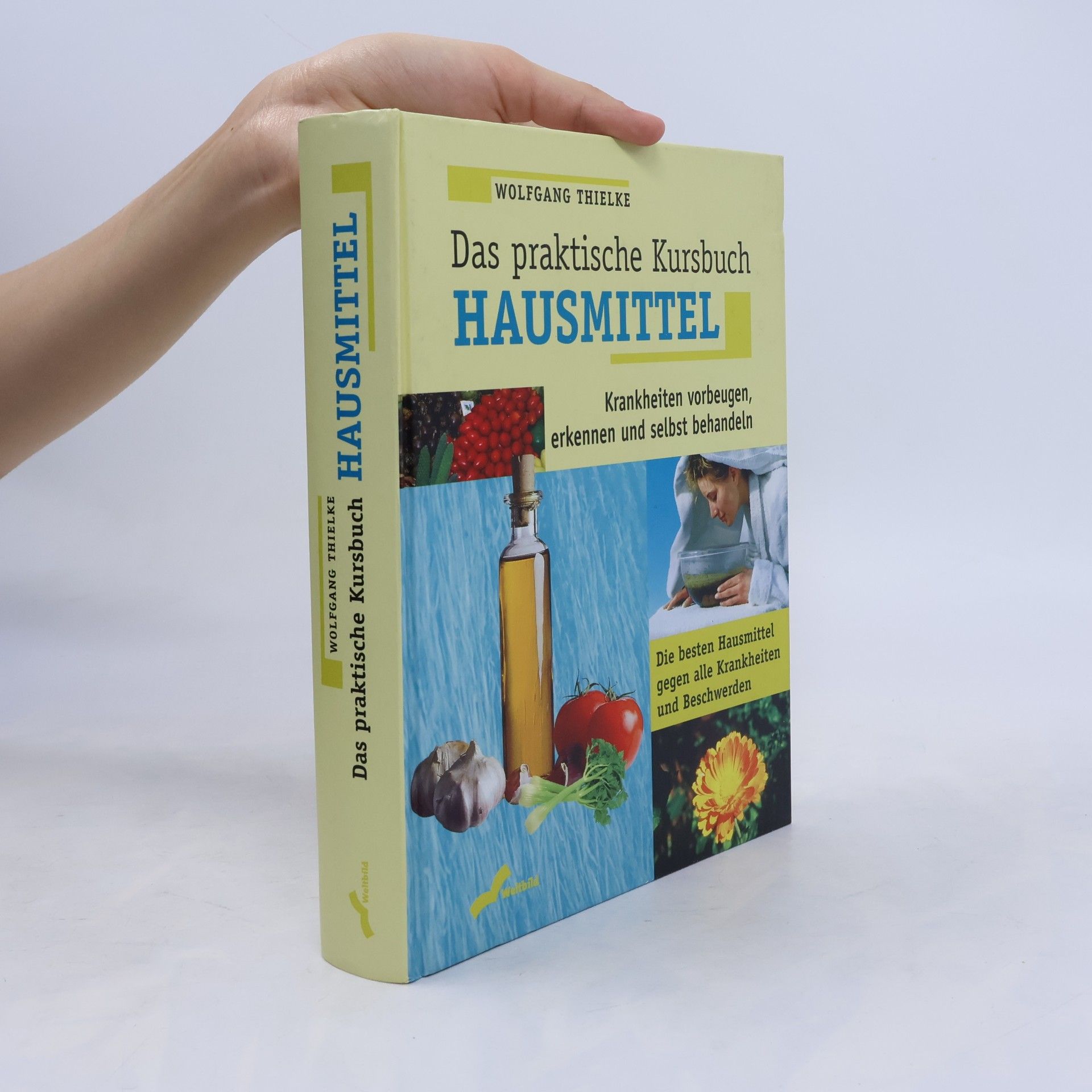 Wolfgang Thielke Das praktische Kursbuch Hausmittel