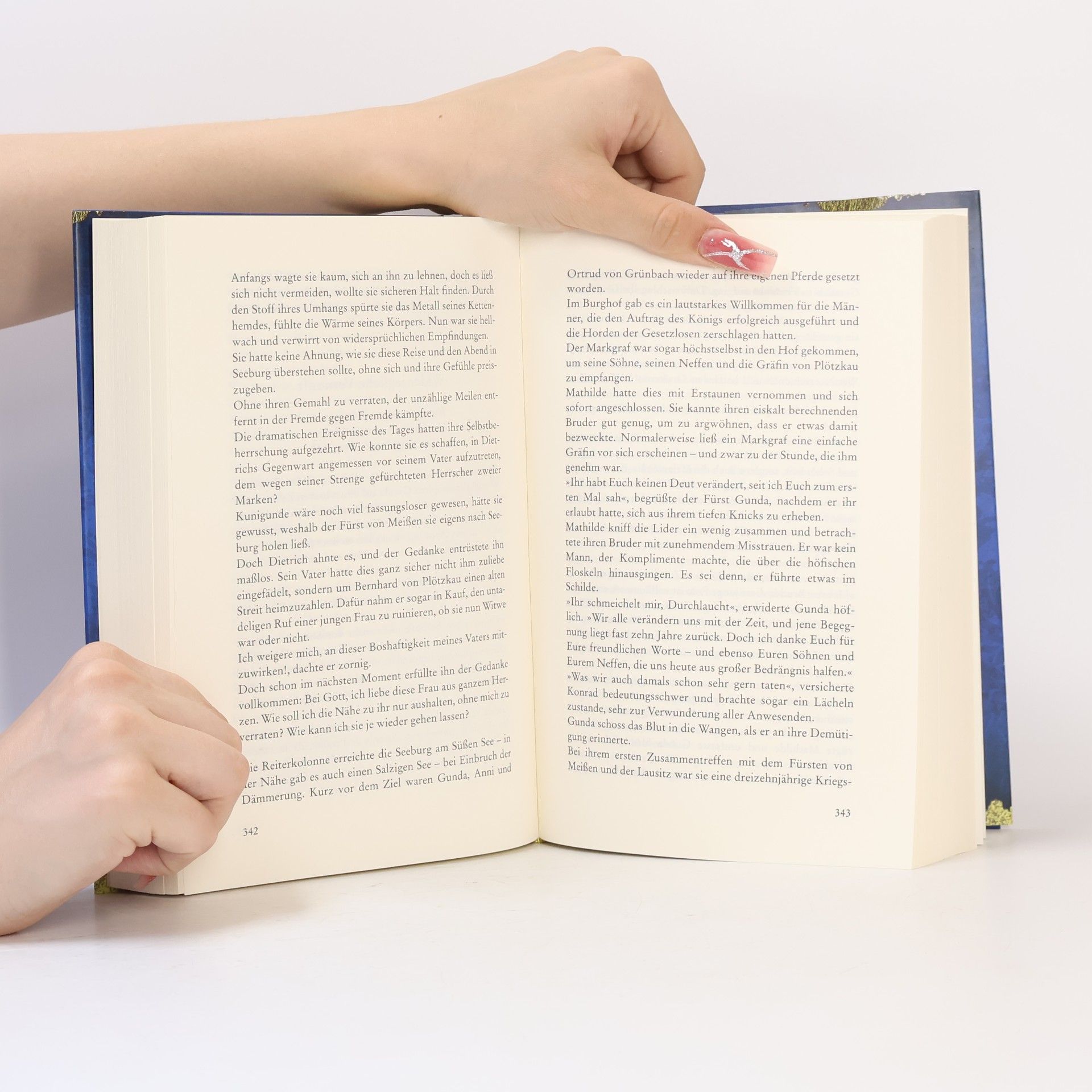 Sabine Ebertová Schwert und Krone. Der junge Falke