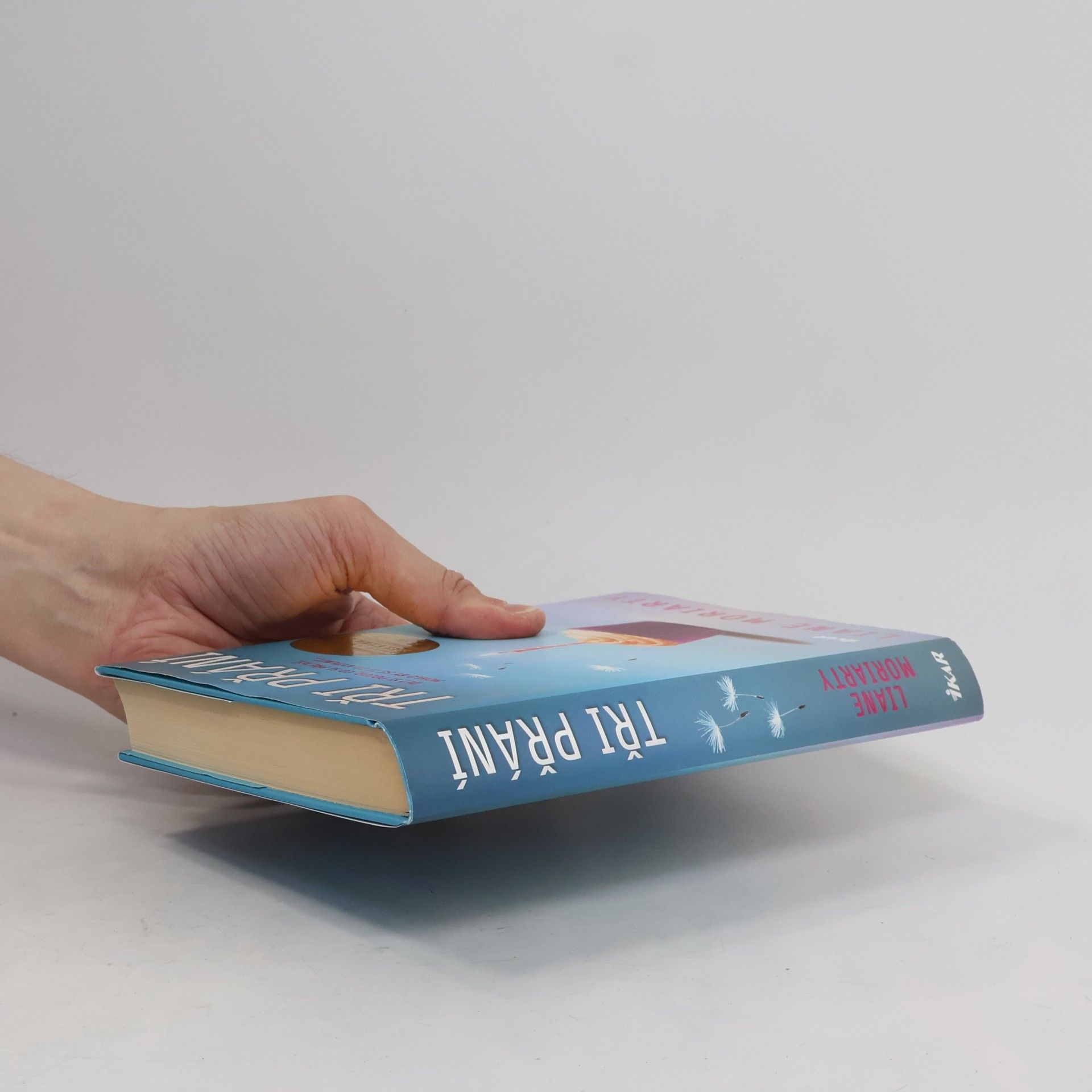 Liane Moriarty Tři přání