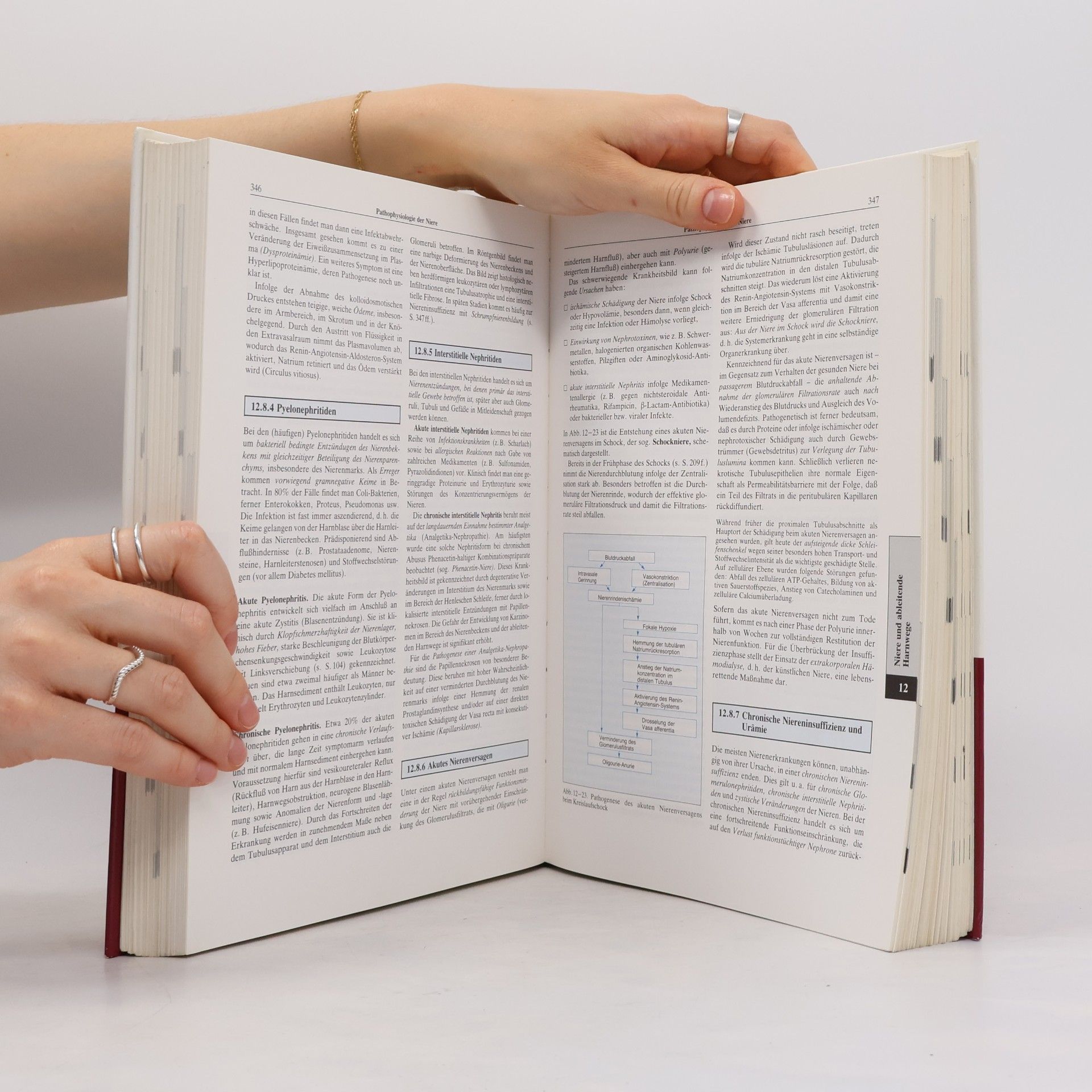 Autorenkollektiv Anatomie, physiologie, patophysiologie des Menschen