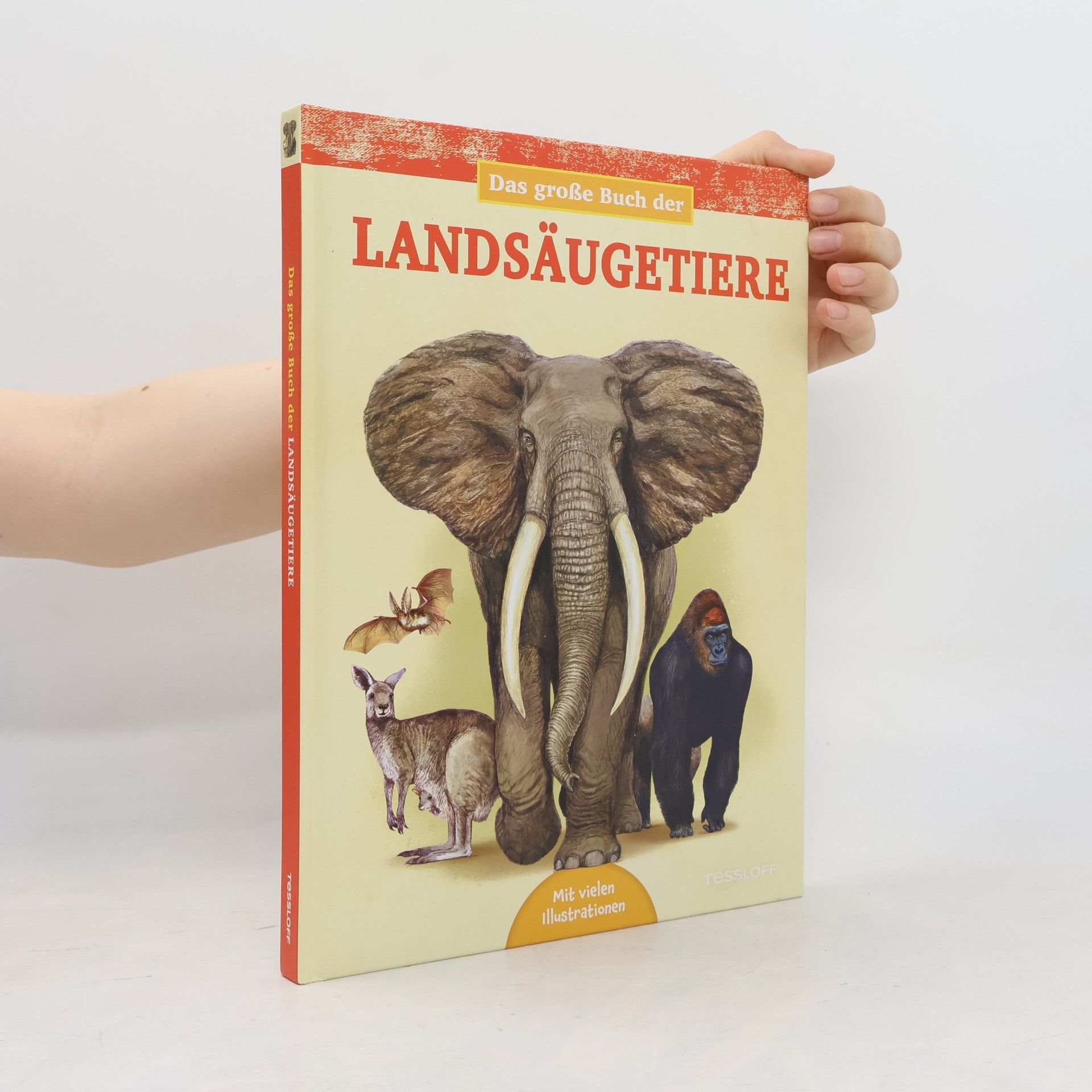 Juan Carlos Alonso Das große Buch der Landsäugetiere