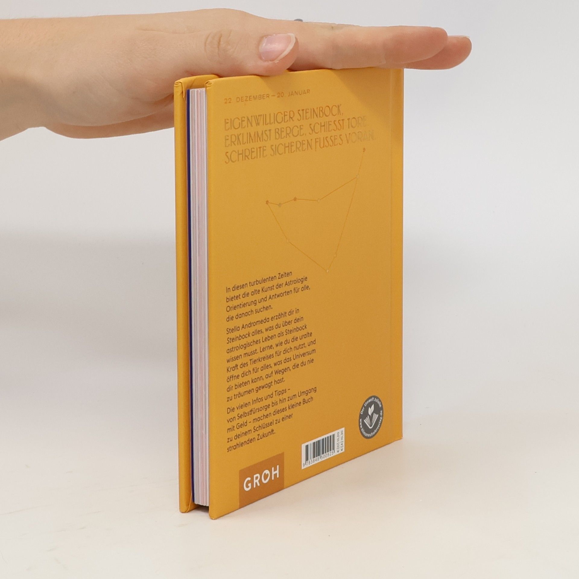Stella Andromeda Steinbock