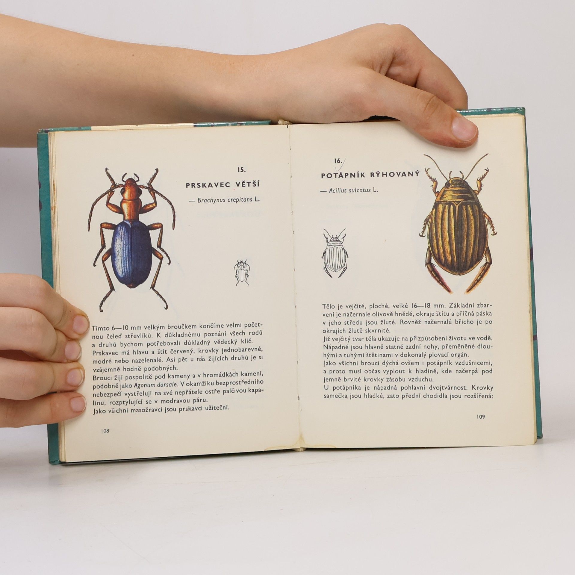 Vladimír Javorek Kapesní atlas brouků