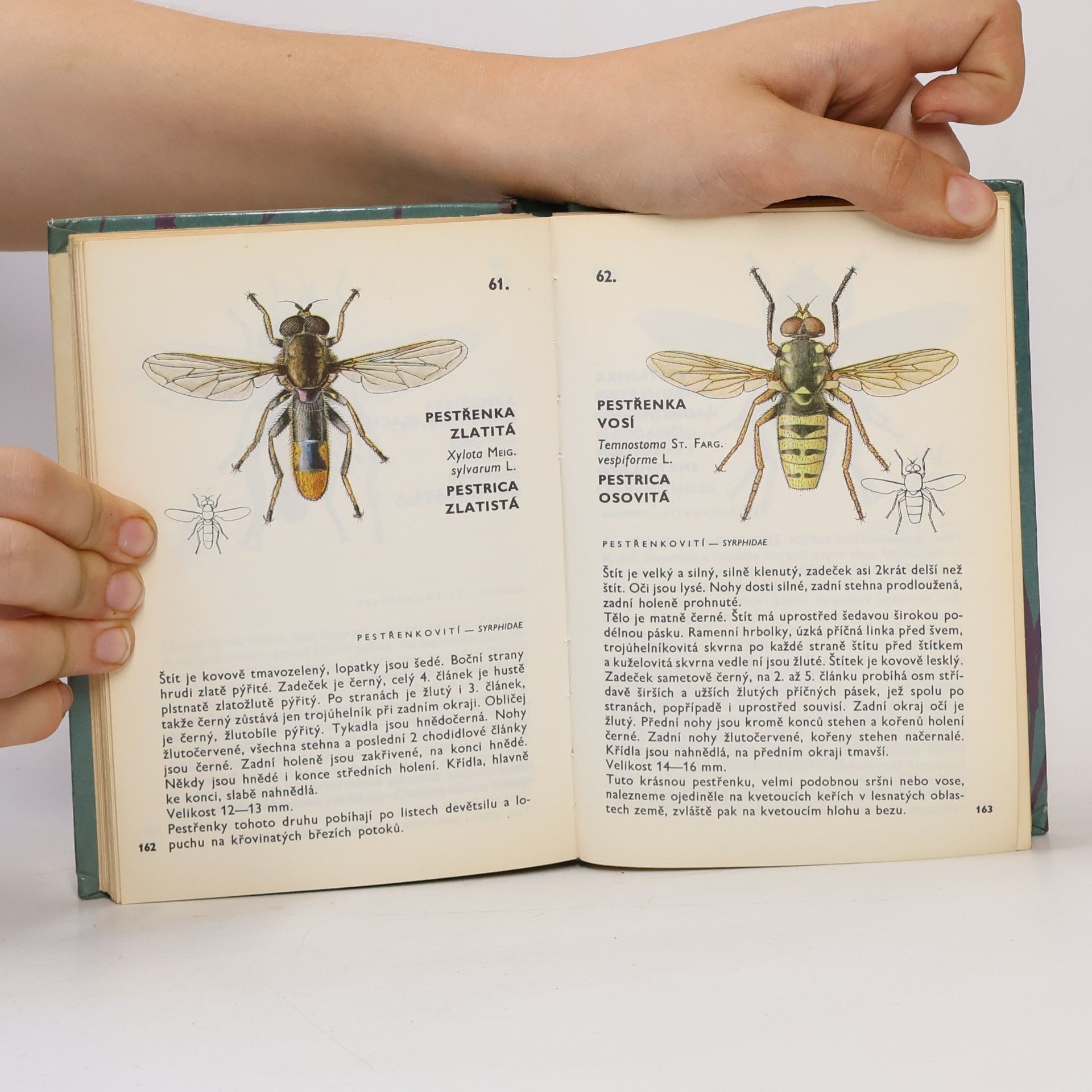 Vladimír Javorek Kapesní atlas dvoukřídlého hmyzu