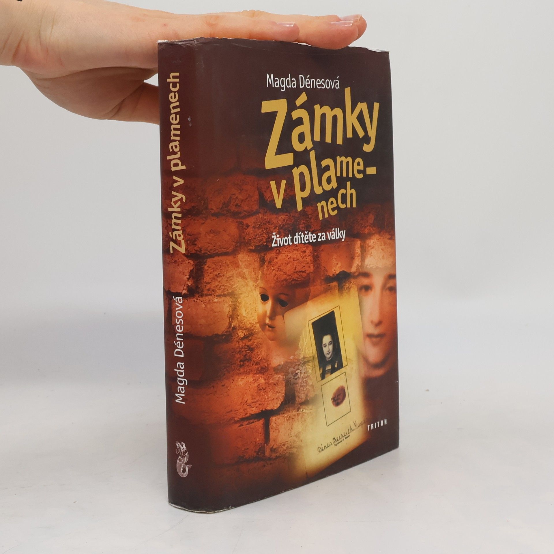 Magda Dénes Zámky v plamenech : život dítěte za války