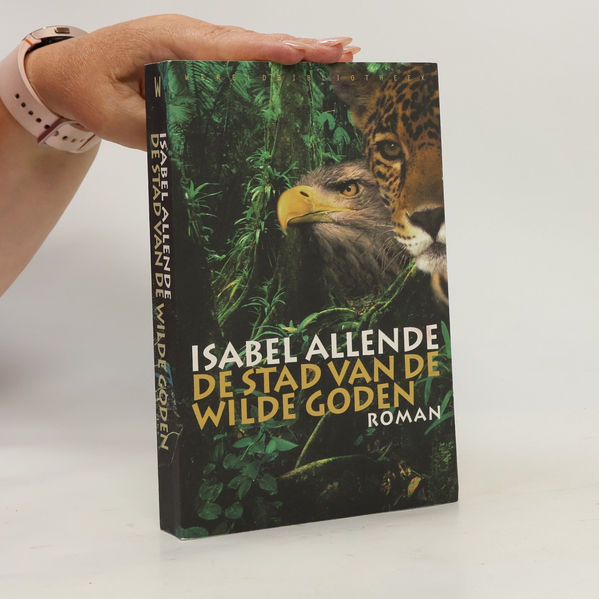 Isabel Allende Llona De stad van de wilde goden