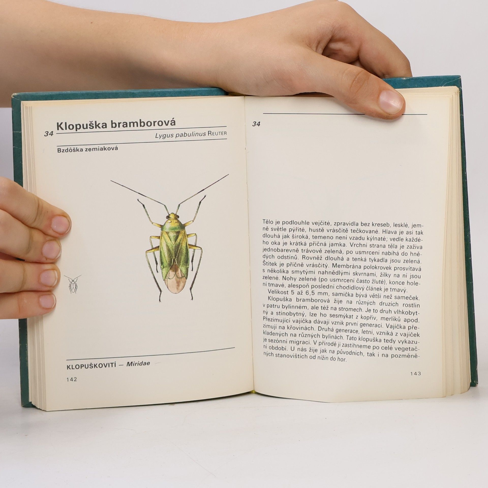 Vladimír Javorek Kapesní atlas ploštic a křísů