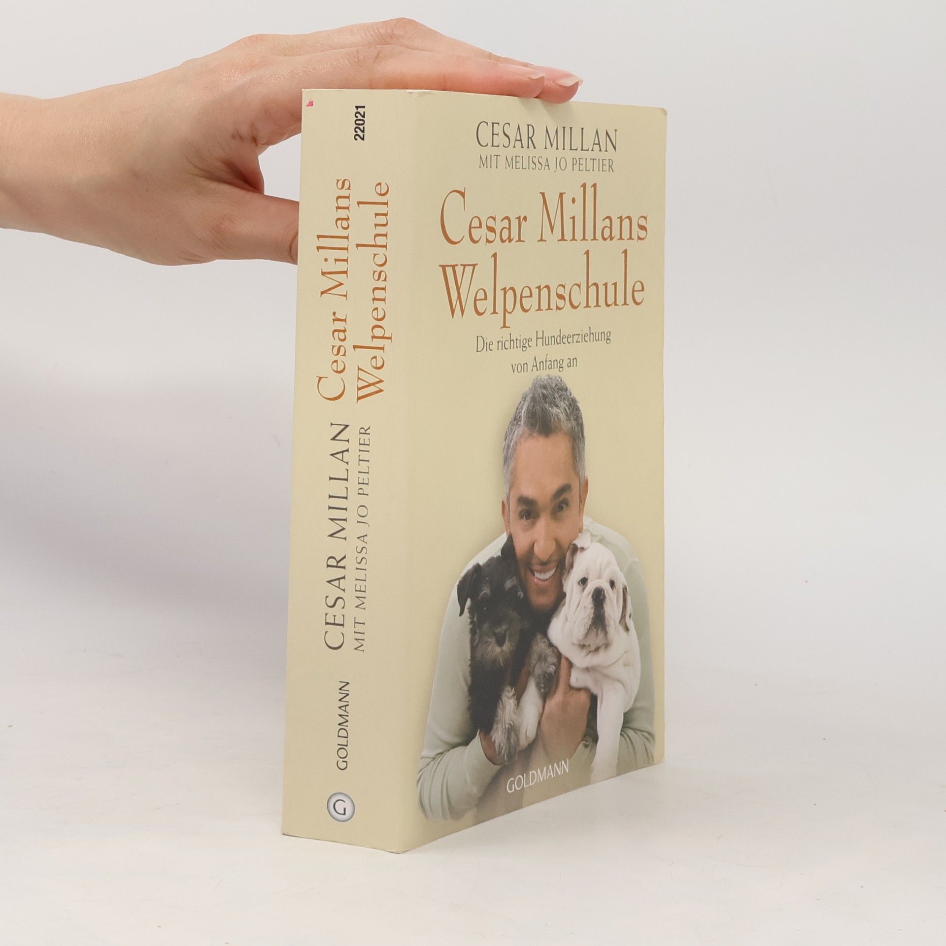 Cesar Millan Cesar Millans Welpenschule