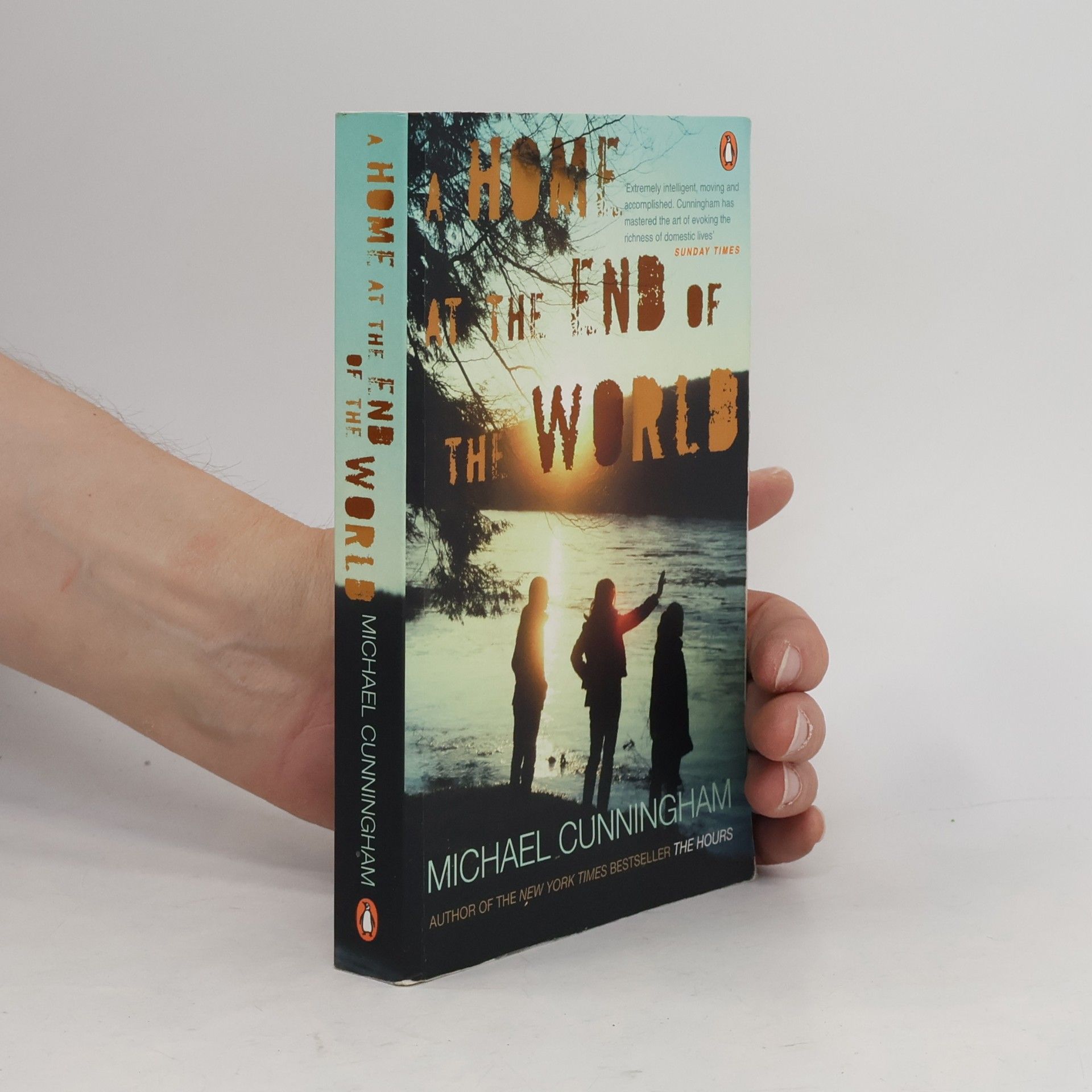 Michael Cunningham A Home at the End of the World