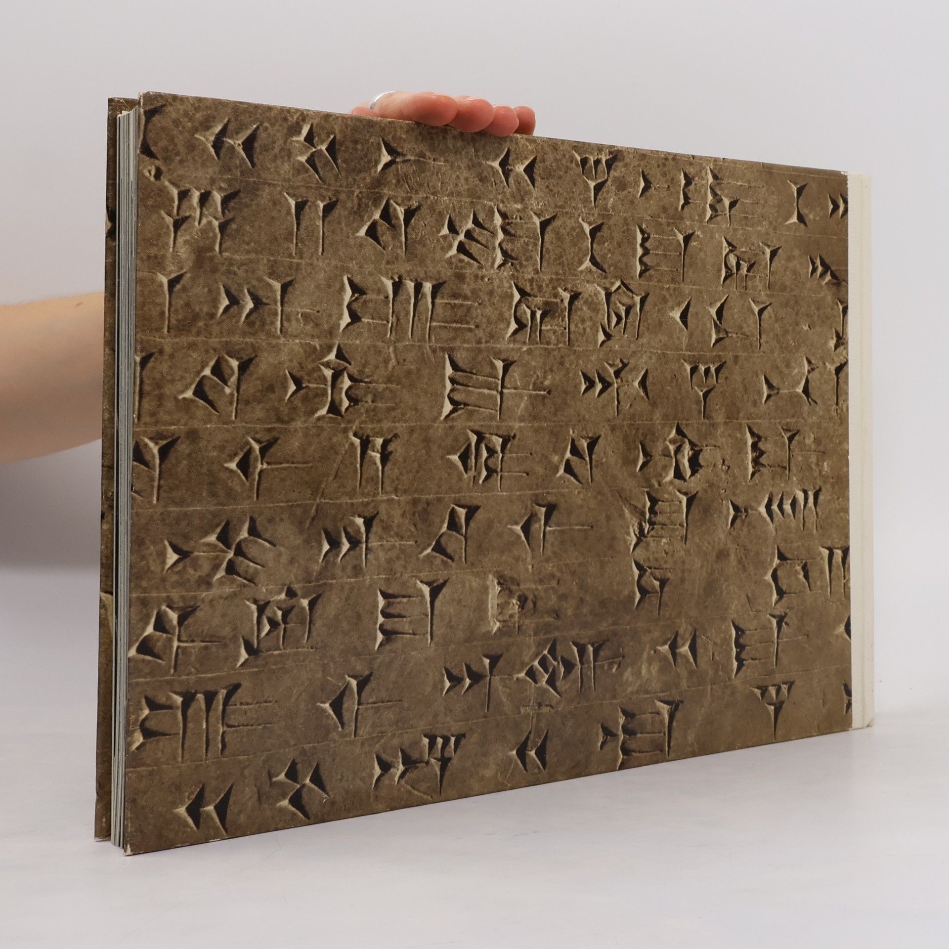 R. D. Barnett Les reliefs des palais assyriens