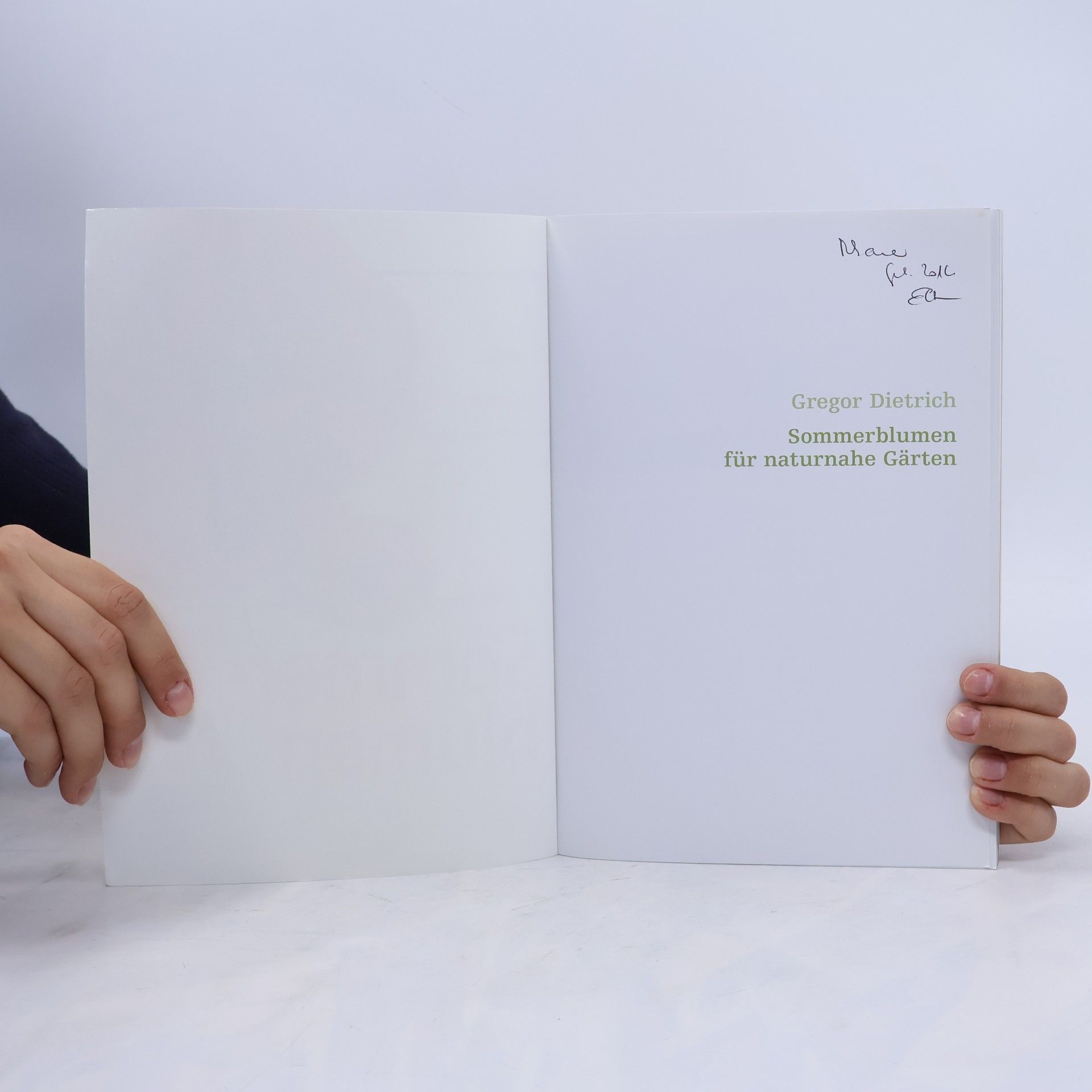 Gregor Dietrich Sommerblumen für naturnahe Gärten