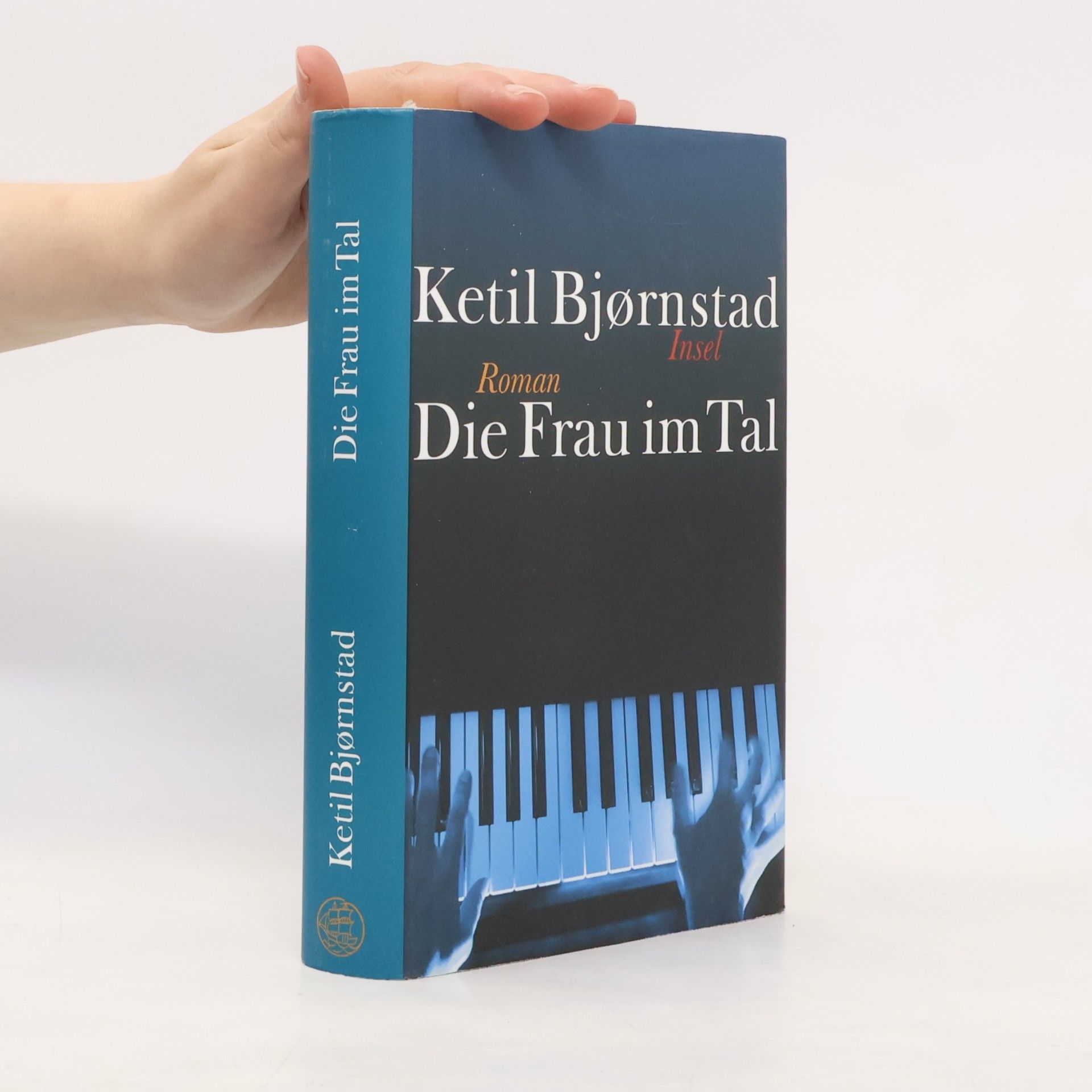 Ketil Bjørnstad Die Frau im Tal