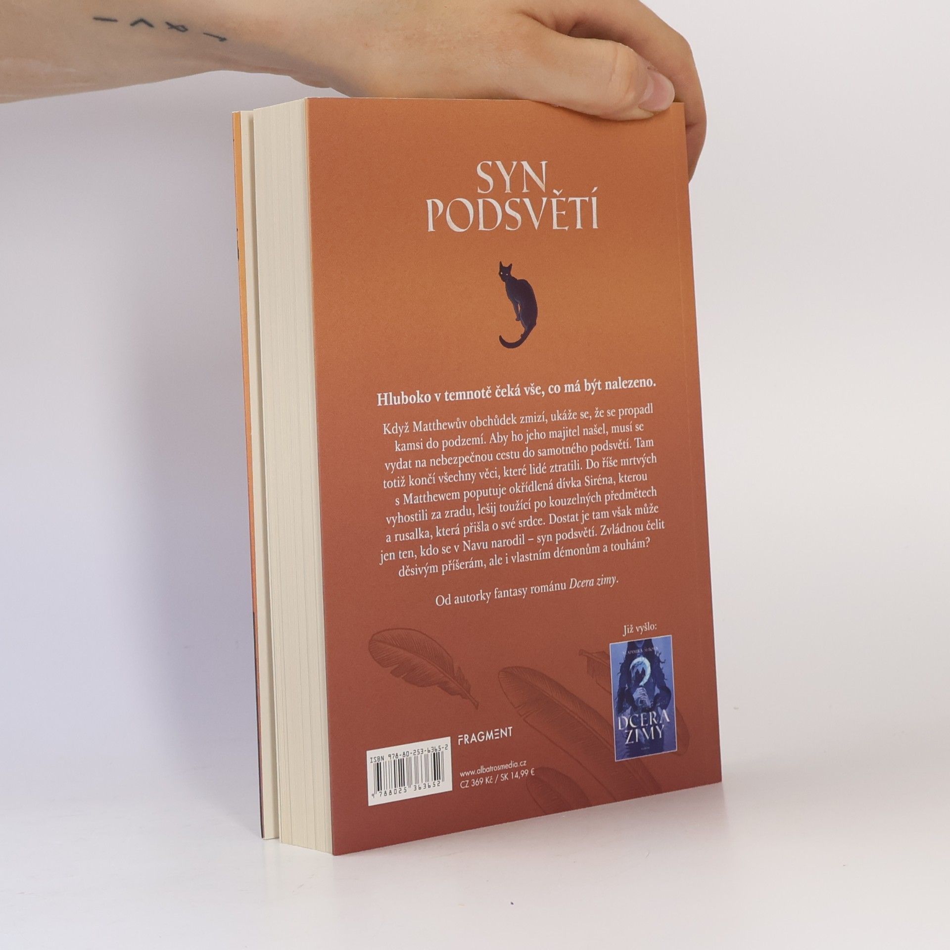 Vladimíra Šebová Syn podsvětí