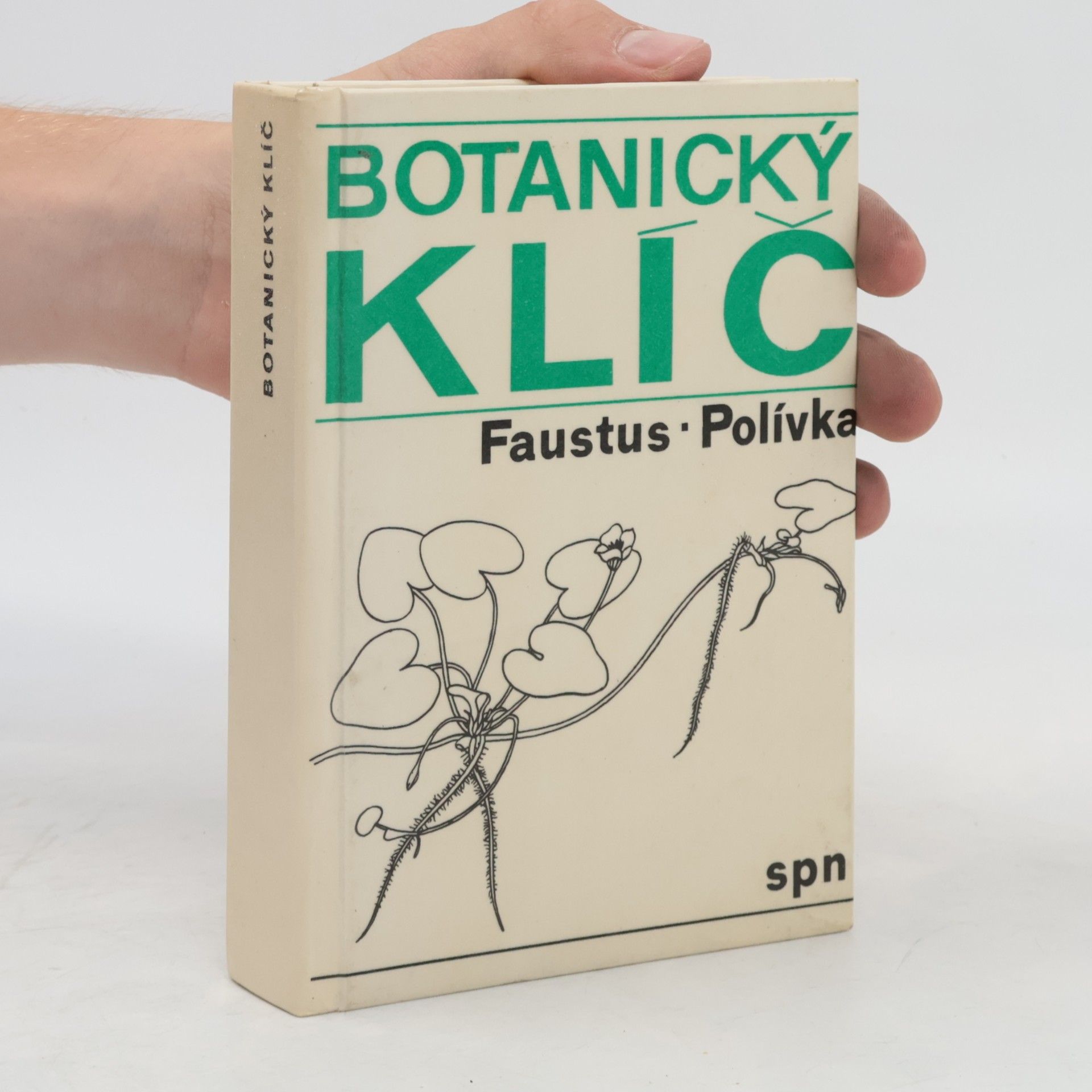 Luděk Faustus Botanický klíč