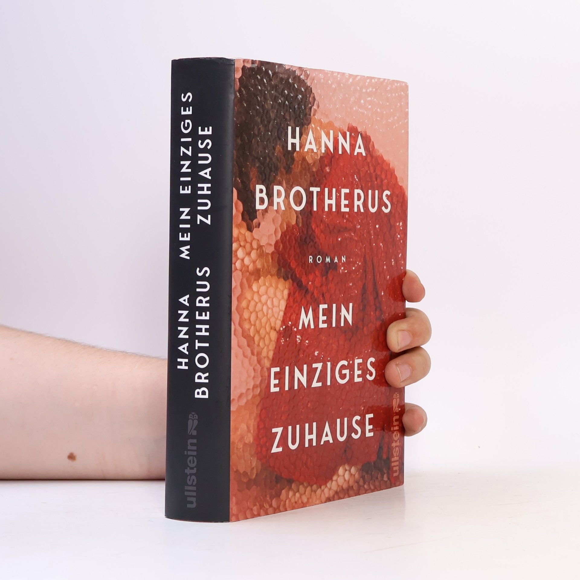 Hanna Brotherus Mein einziges Zuhause