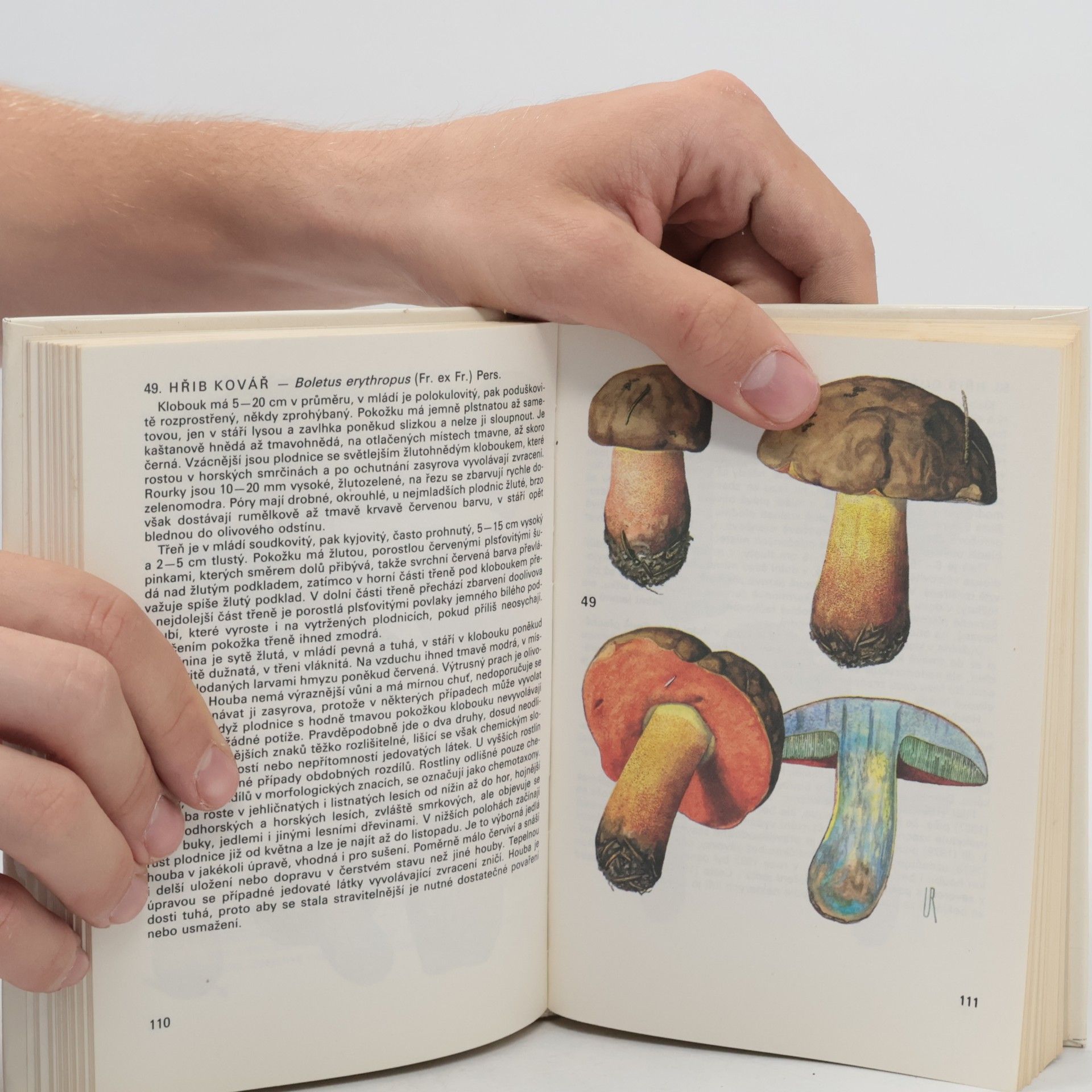 Antonín Příhoda Kapesní atlas hub 1