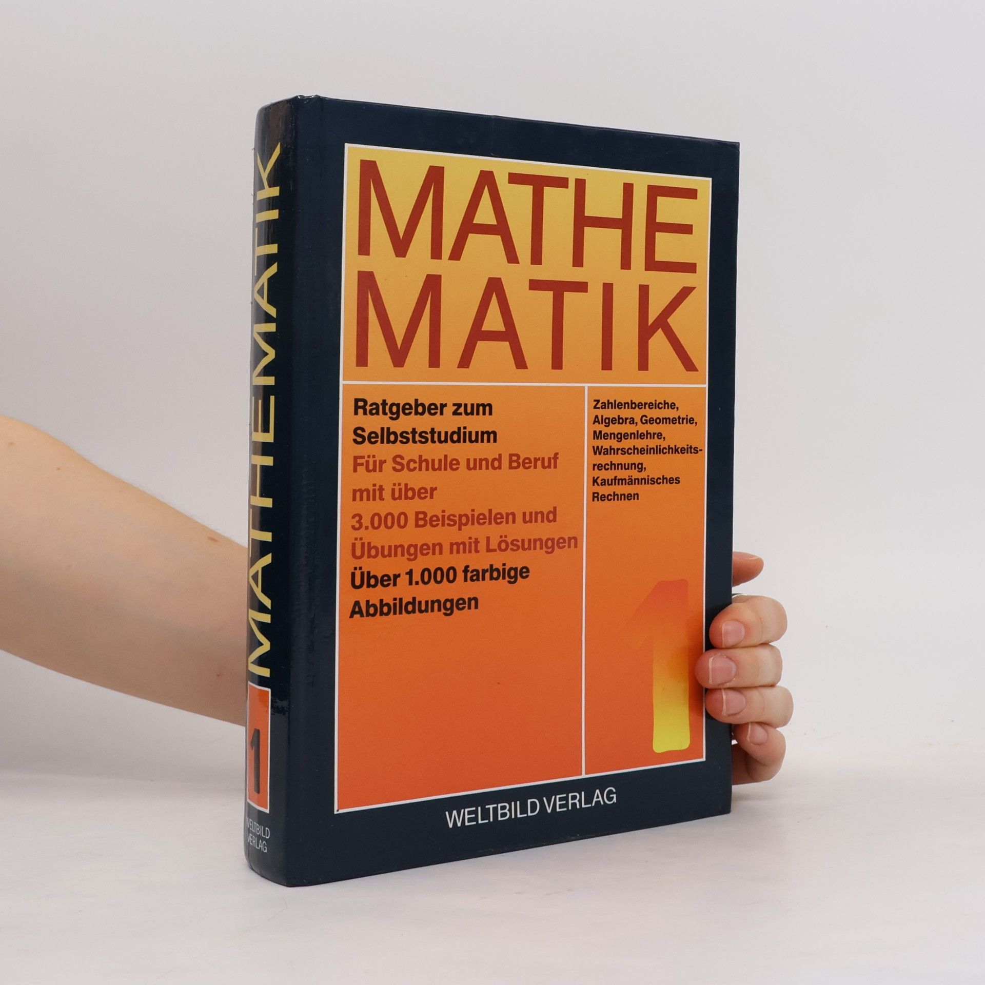 Kolektív autorov Mathematik 1. Ratgeber zum Selbststudium