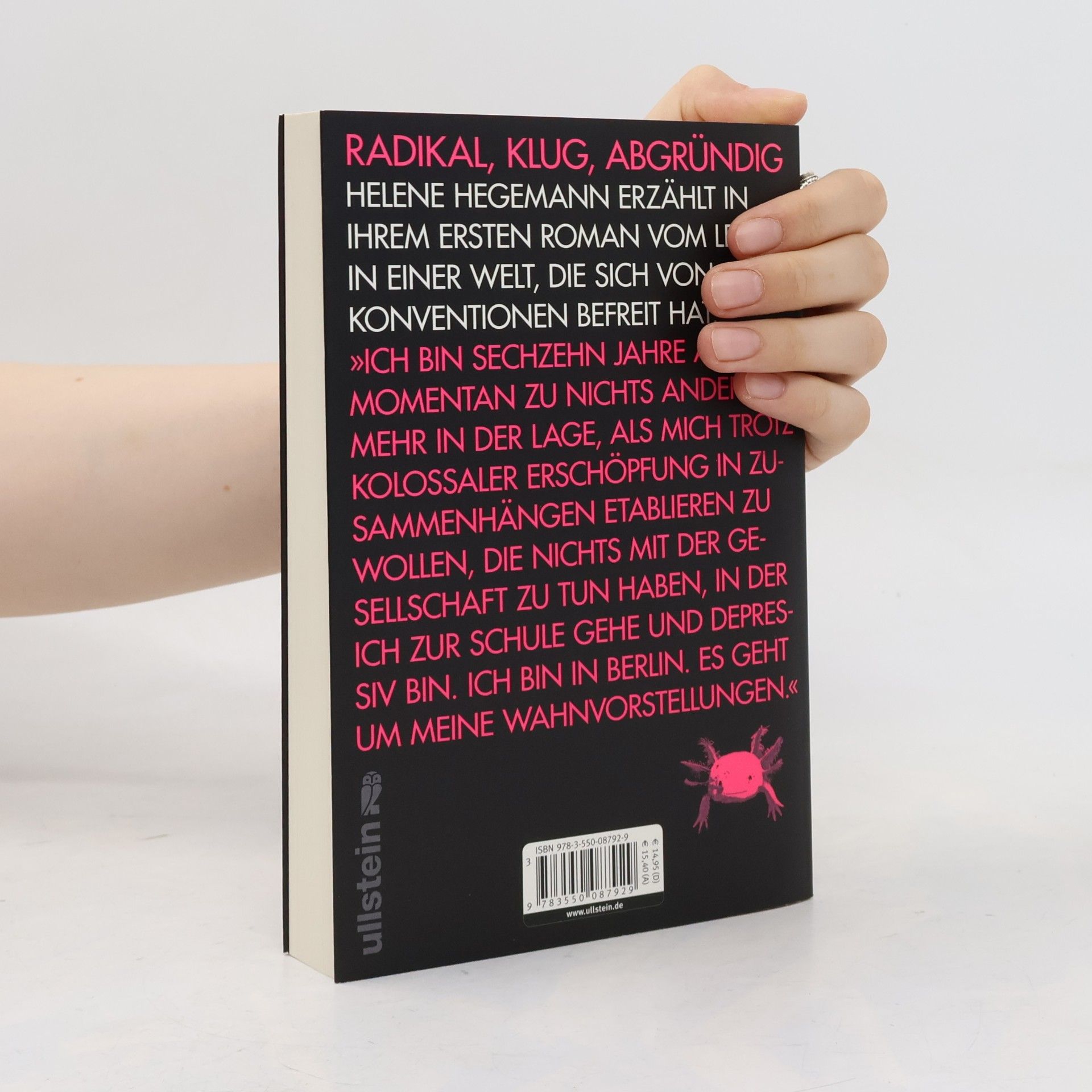 Helene Hegemann Axolotl Roadkill : Roman