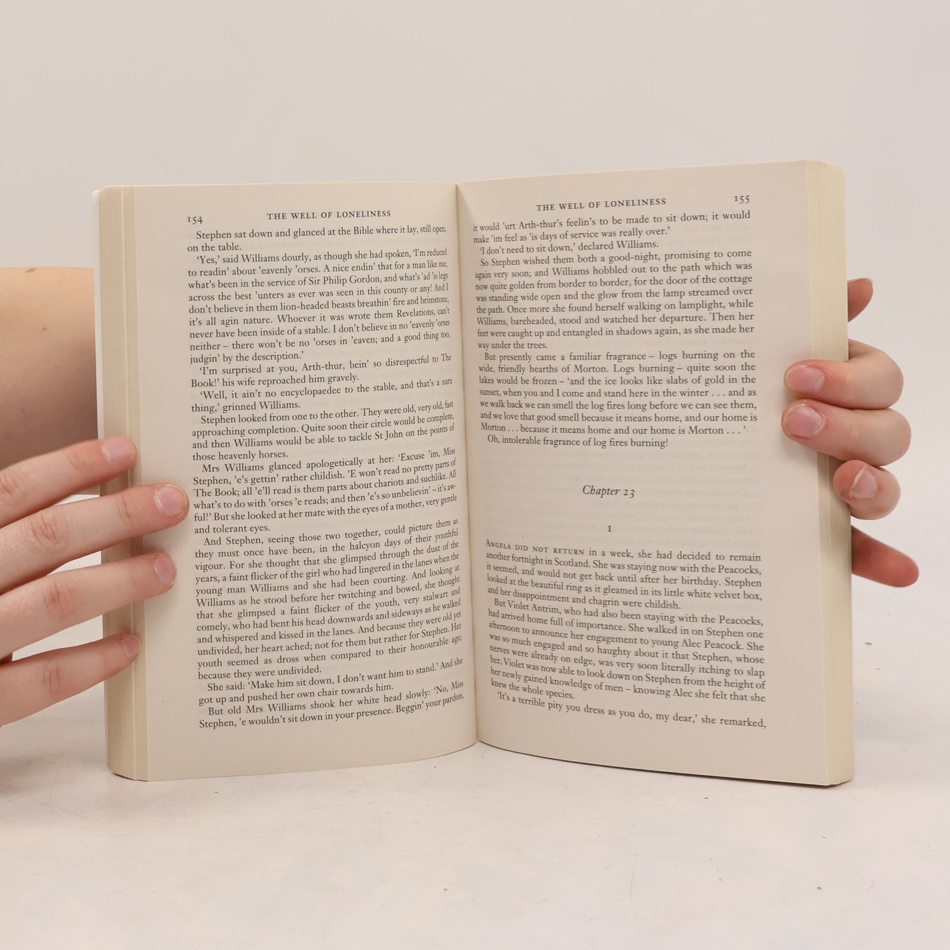 Radclyffe Hall The Well of Loneliness