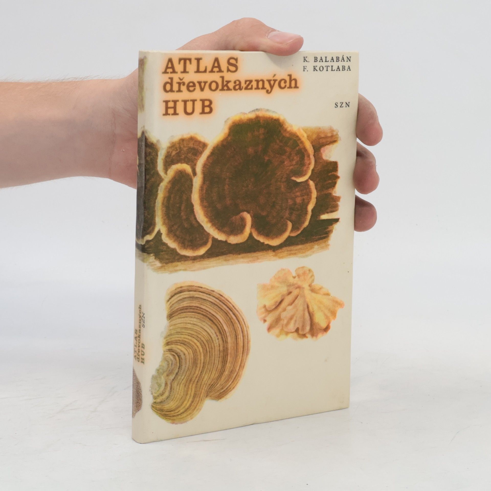 Atlas dřevokazných hub
