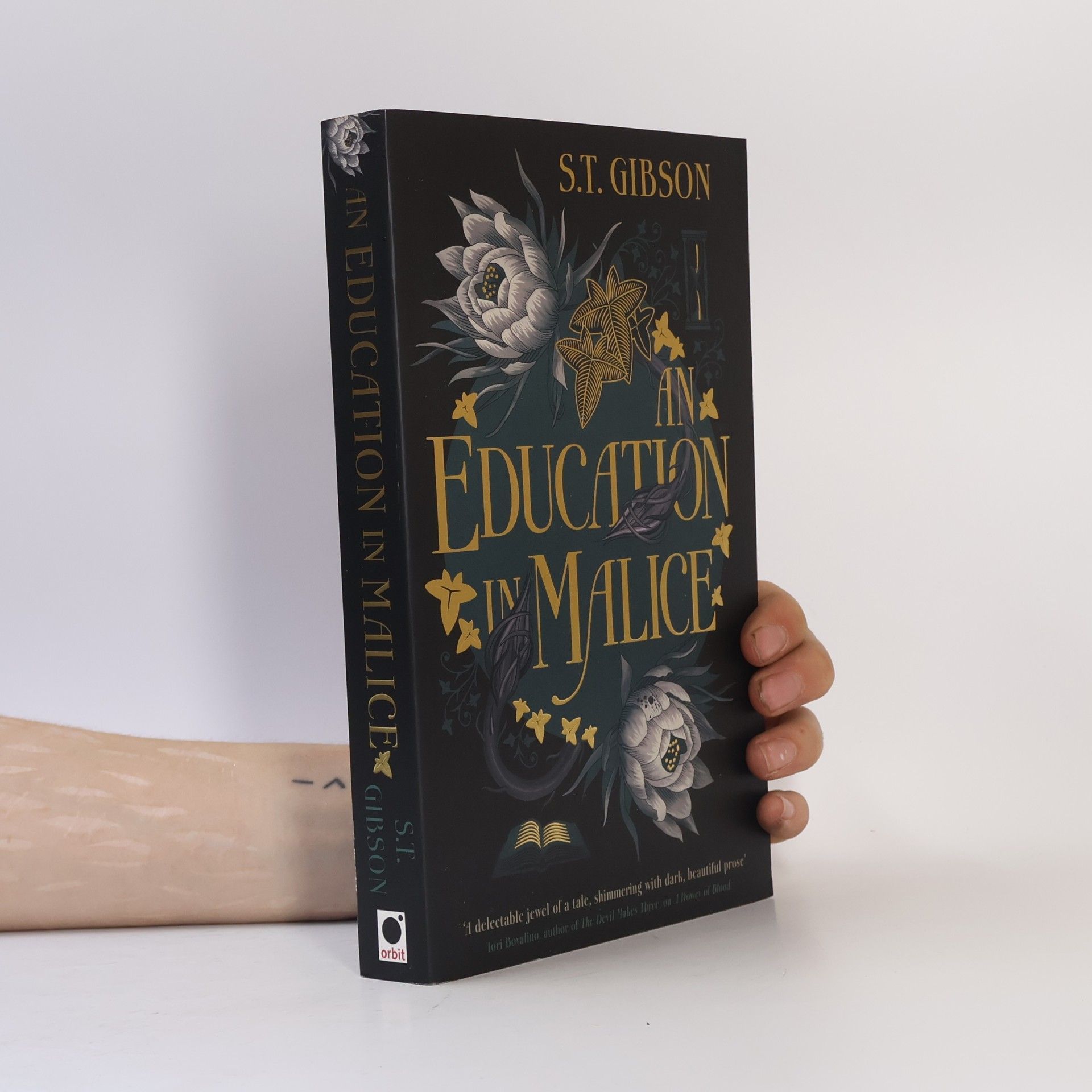 S. T. Gibson An Education in Malice