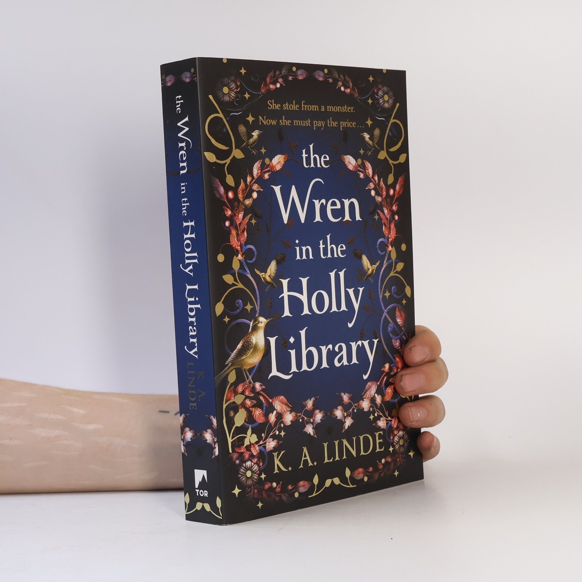Linde Ida The Wren in the Holly Library: An addictive dark romantasy series inspired by Beauty and the Beast
