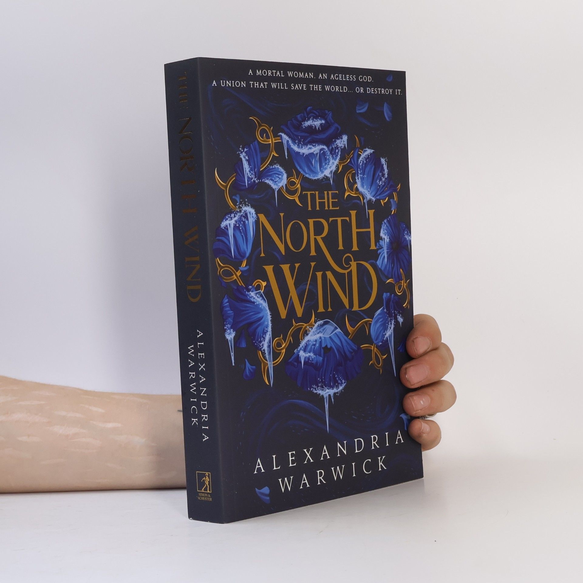 Alexandria Warwick The North Wind: The TikTok sensation! An enthralling enemies-to-lovers romantasy, the first in the Four Winds series